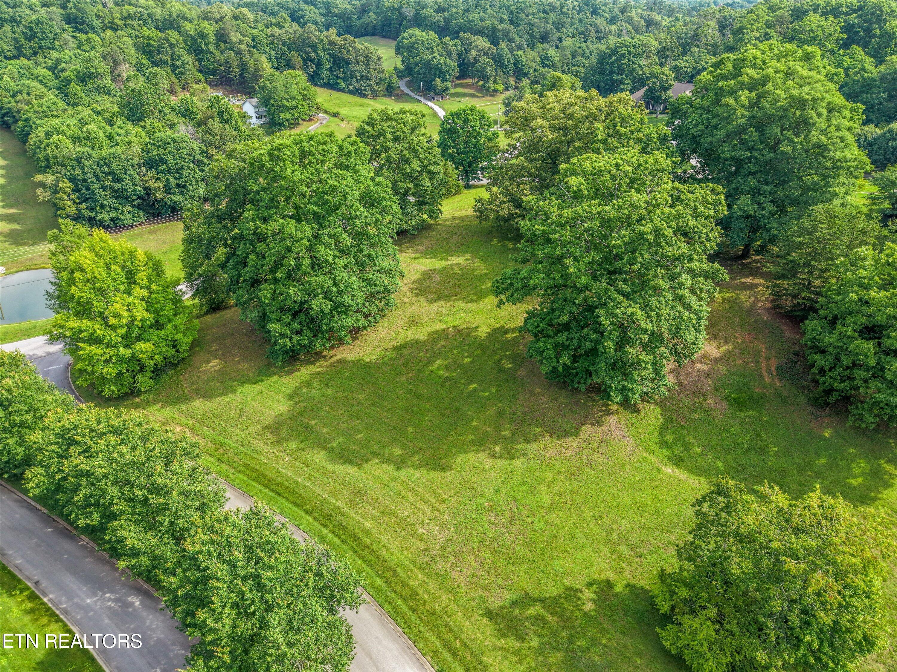 110 Conkinnon Drive, Lenoir City, TN - Fort Loudoun and Tellico Lake Real Estate - Image# 5