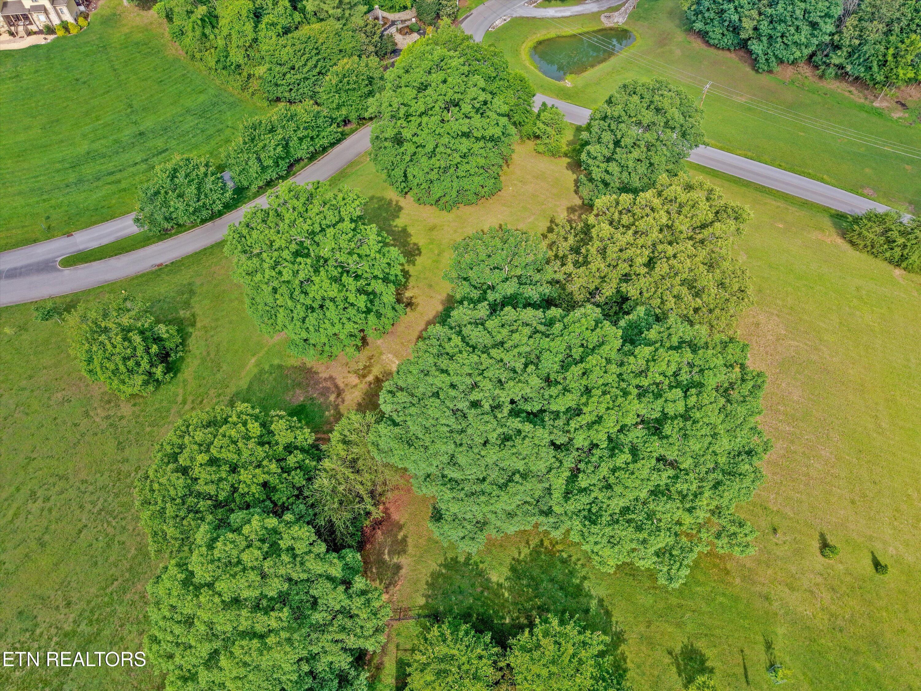 110 Conkinnon Drive, Lenoir City, TN - Fort Loudoun and Tellico Lake Real Estate - Image# 7