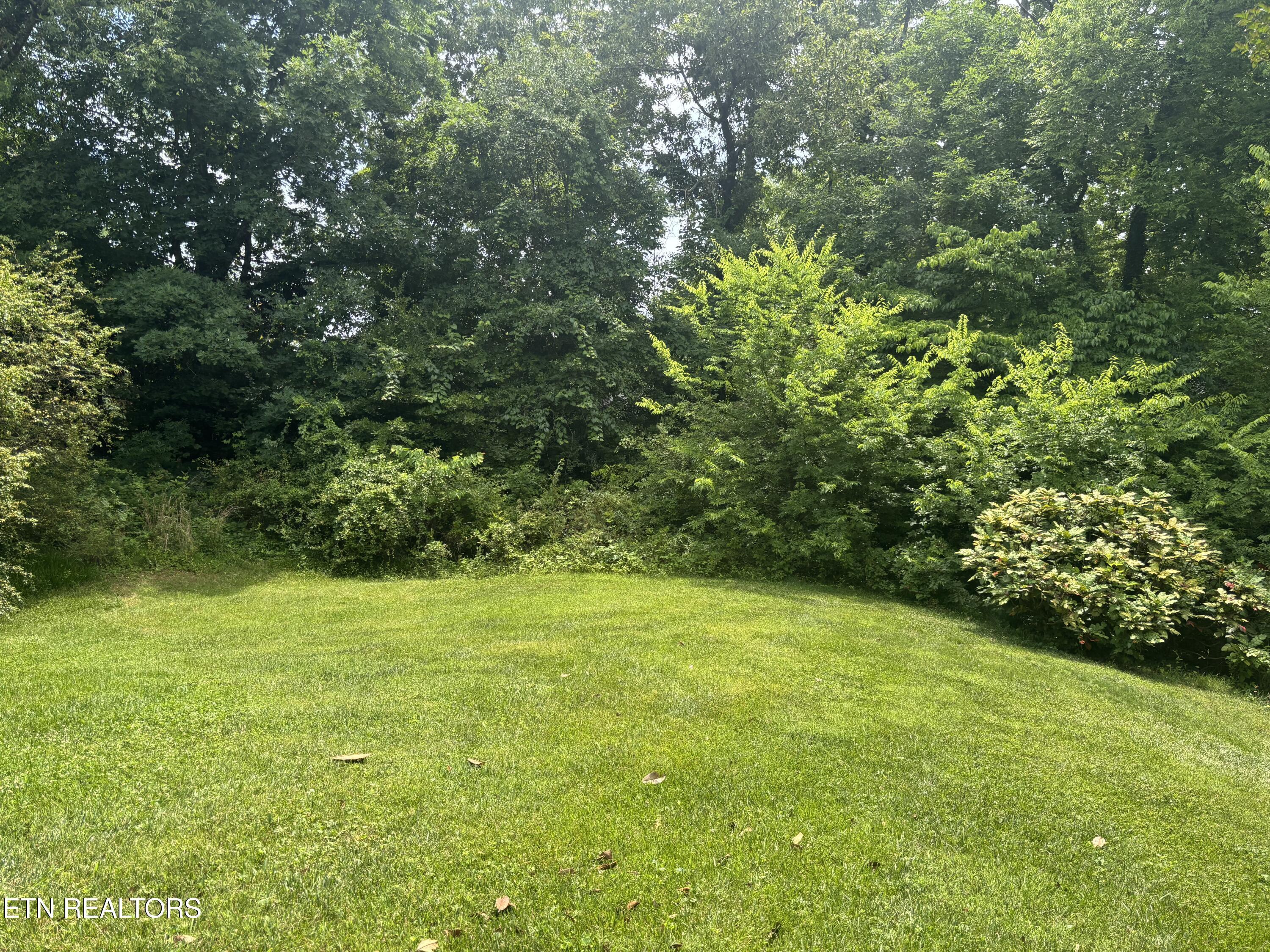 7121 Stone Mill Drive, Knoxville, TN - Fort Loudoun and Tellico Lake Real Estate - Image# 6