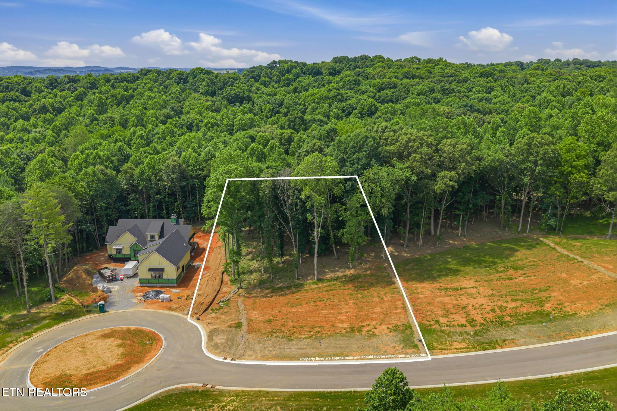 184 Lake Life Way, Loudon, TN - Fort Loudoun and Tellico Lake Real Estate - Image# 2