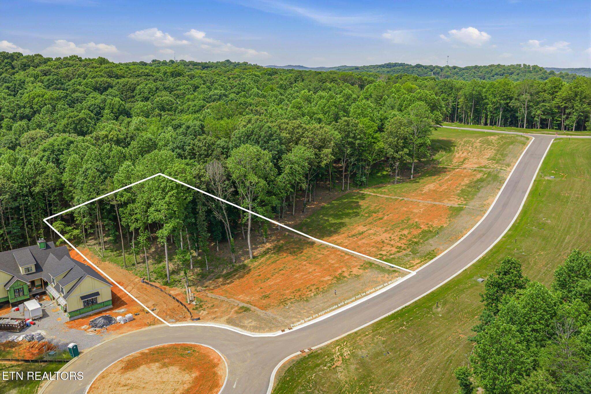 184 Lake Life Way, Loudon, TN - Fort Loudoun and Tellico Lake Real Estate - Image# 3