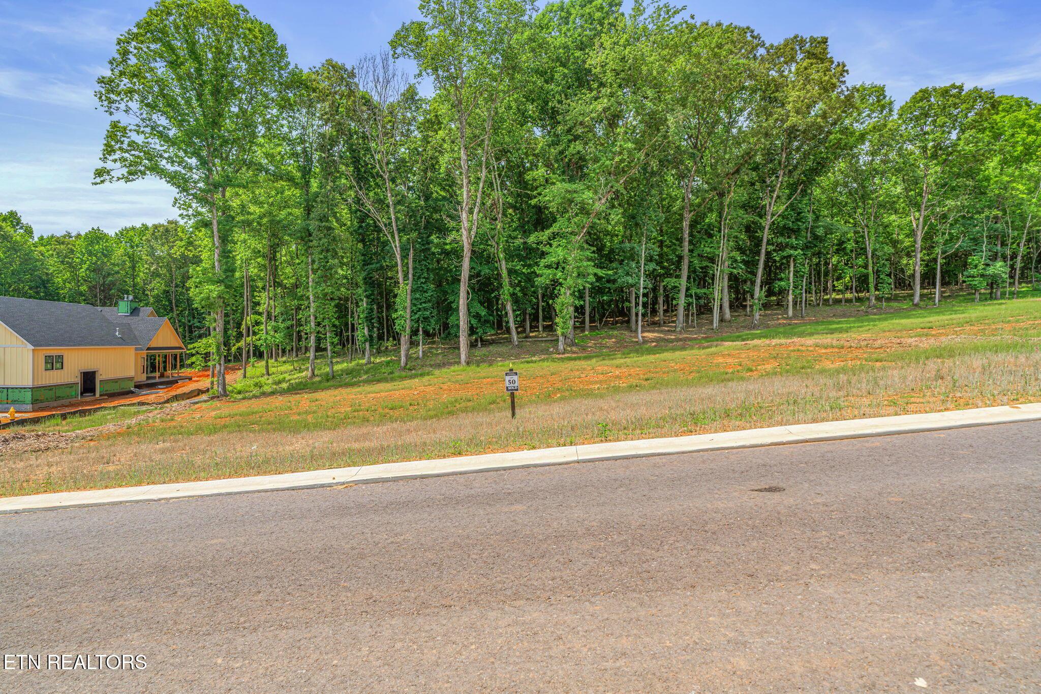 184 Lake Life Way, Loudon, TN - Fort Loudoun and Tellico Lake Real Estate - Image# 4