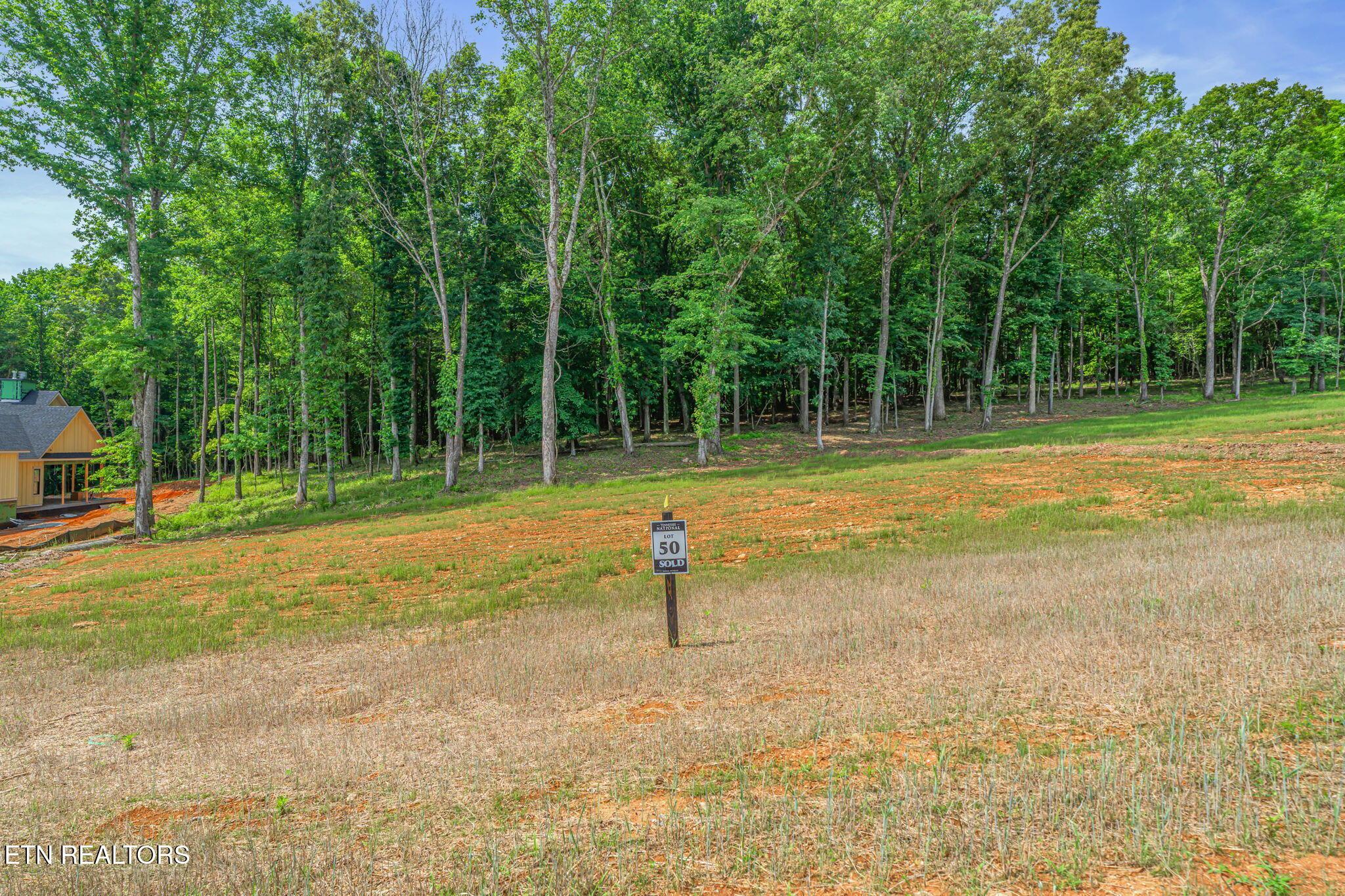 184 Lake Life Way, Loudon, TN - Fort Loudoun and Tellico Lake Real Estate - Image# 5