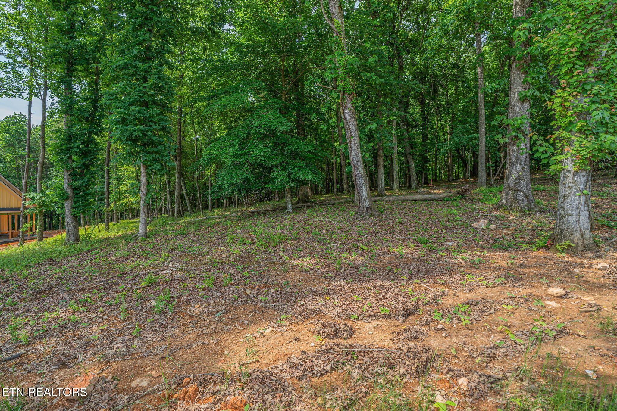 184 Lake Life Way, Loudon, TN - Fort Loudoun and Tellico Lake Real Estate - Image# 6