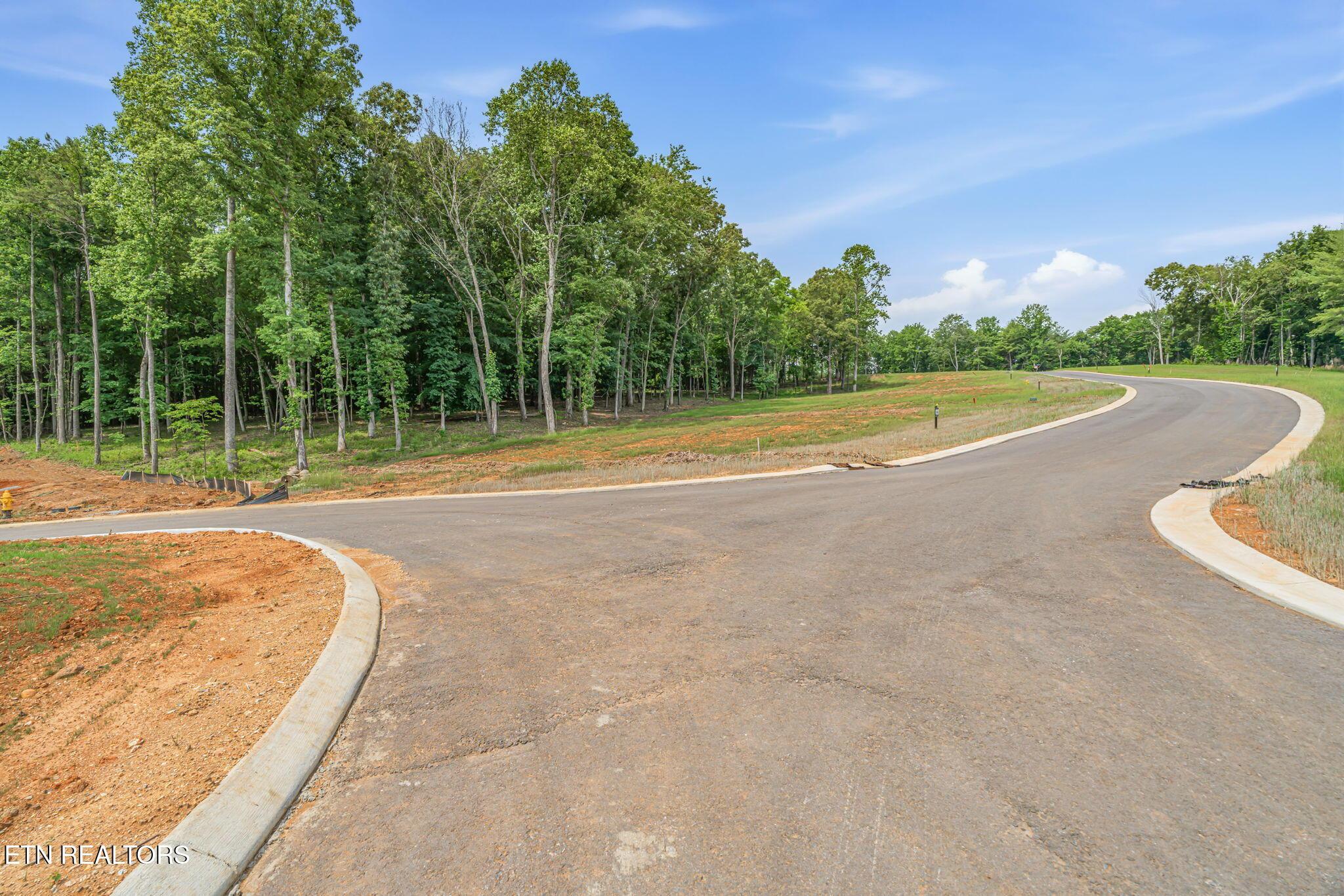 184 Lake Life Way, Loudon, TN - Fort Loudoun and Tellico Lake Real Estate - Image# 7