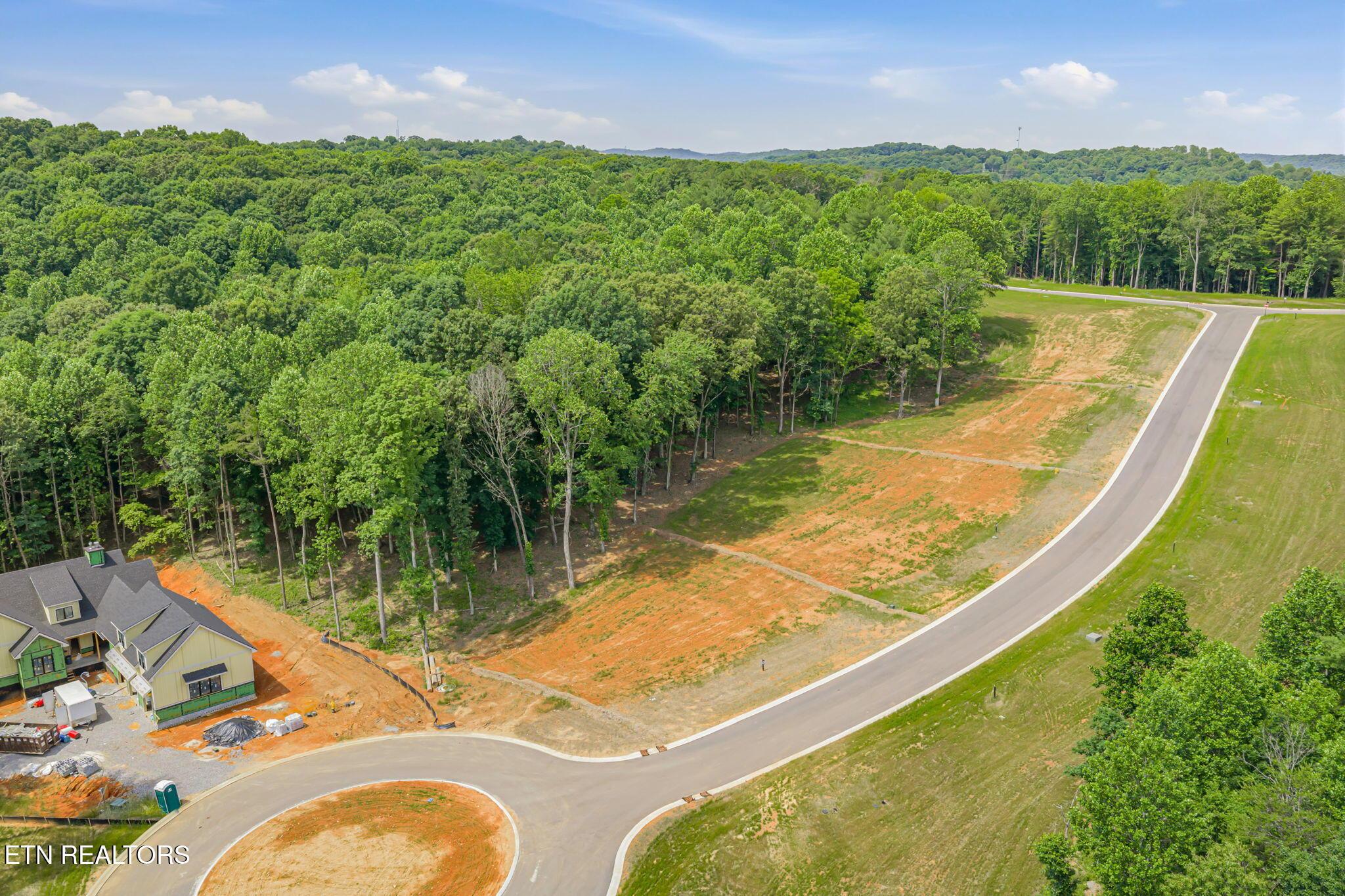 184 Lake Life Way, Loudon, TN - Fort Loudoun and Tellico Lake Real Estate - Image# 8