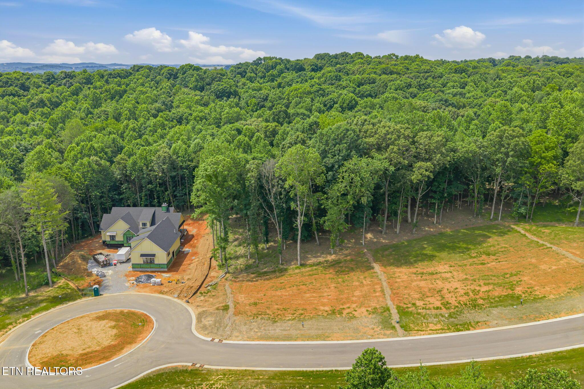 184 Lake Life Way, Loudon, TN - Fort Loudoun and Tellico Lake Real Estate - Image# 9