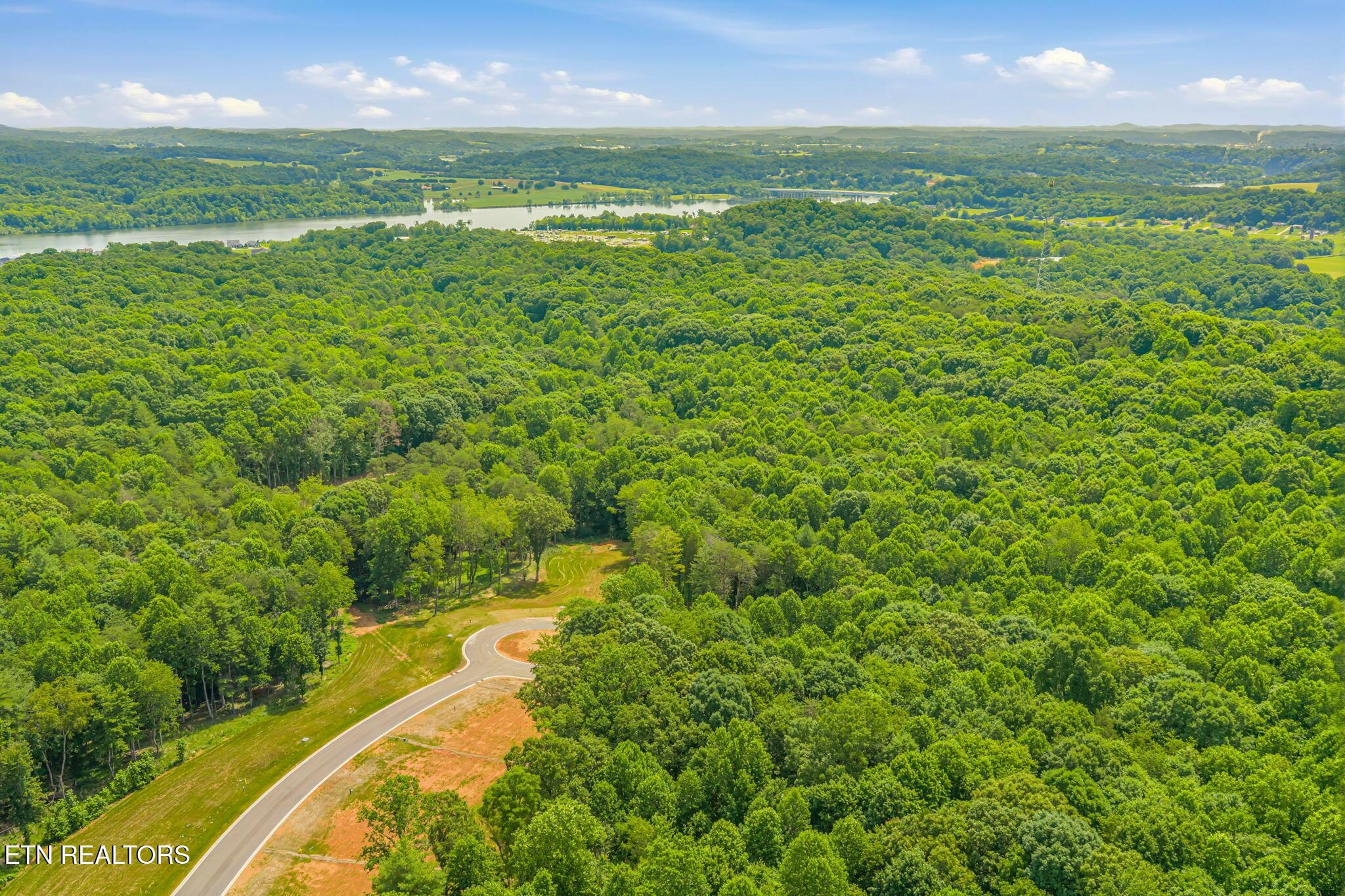 184 Lake Life Way, Loudon, TN - Fort Loudoun and Tellico Lake Real Estate - Image# 14