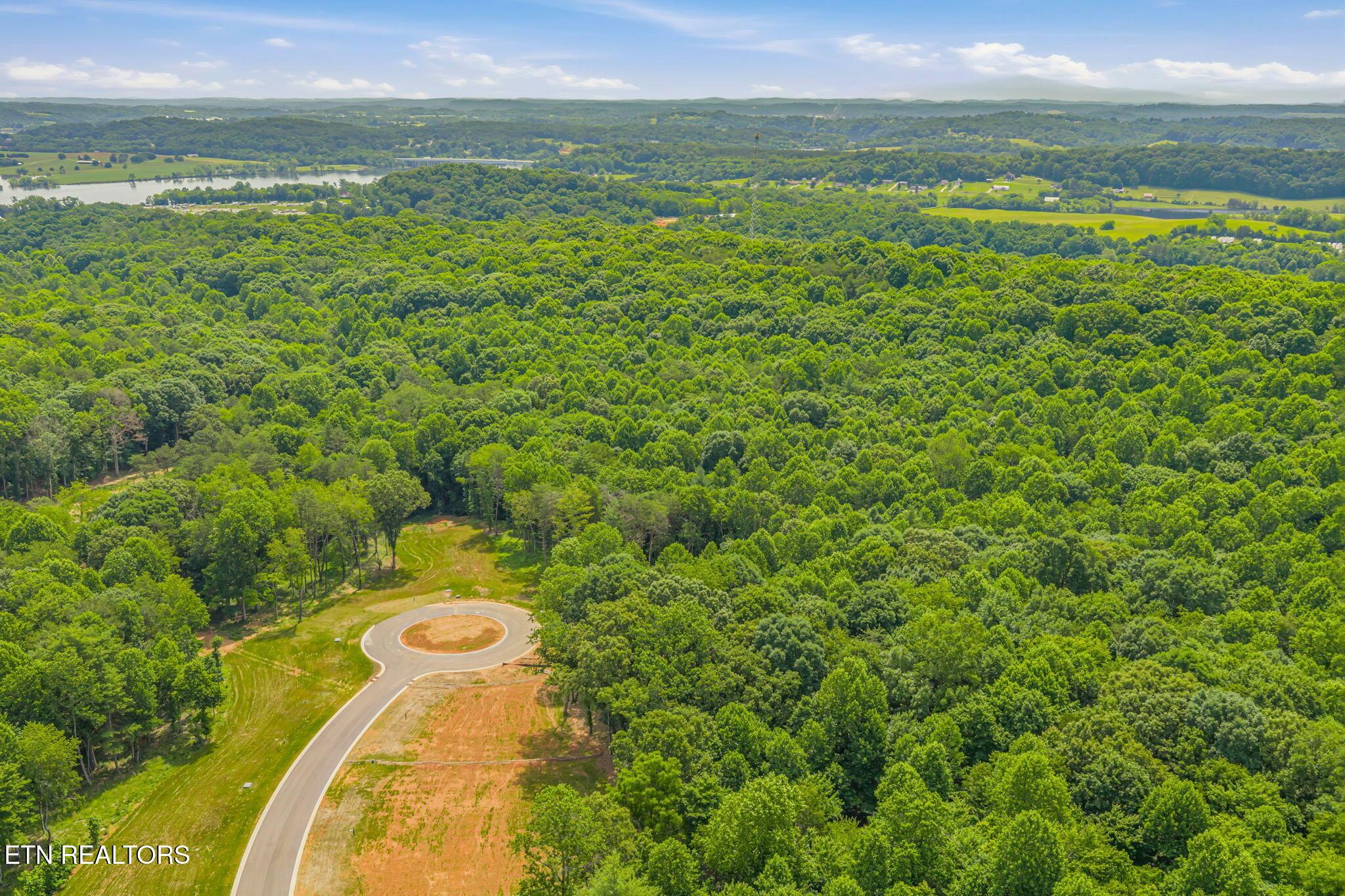 184 Lake Life Way, Loudon, TN - Fort Loudoun and Tellico Lake Real Estate - Image# 15