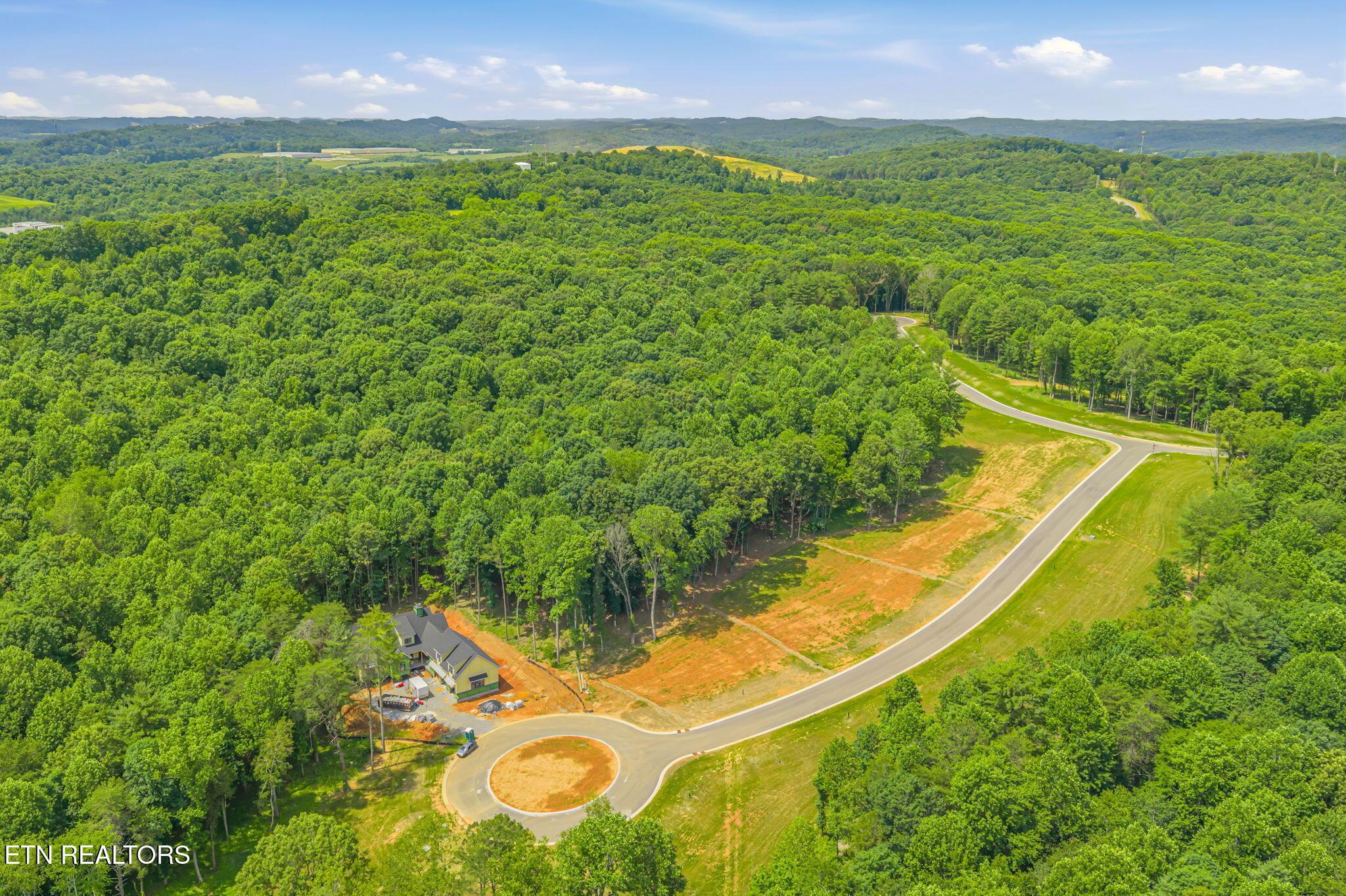 184 Lake Life Way, Loudon, TN - Fort Loudoun and Tellico Lake Real Estate - Image# 17