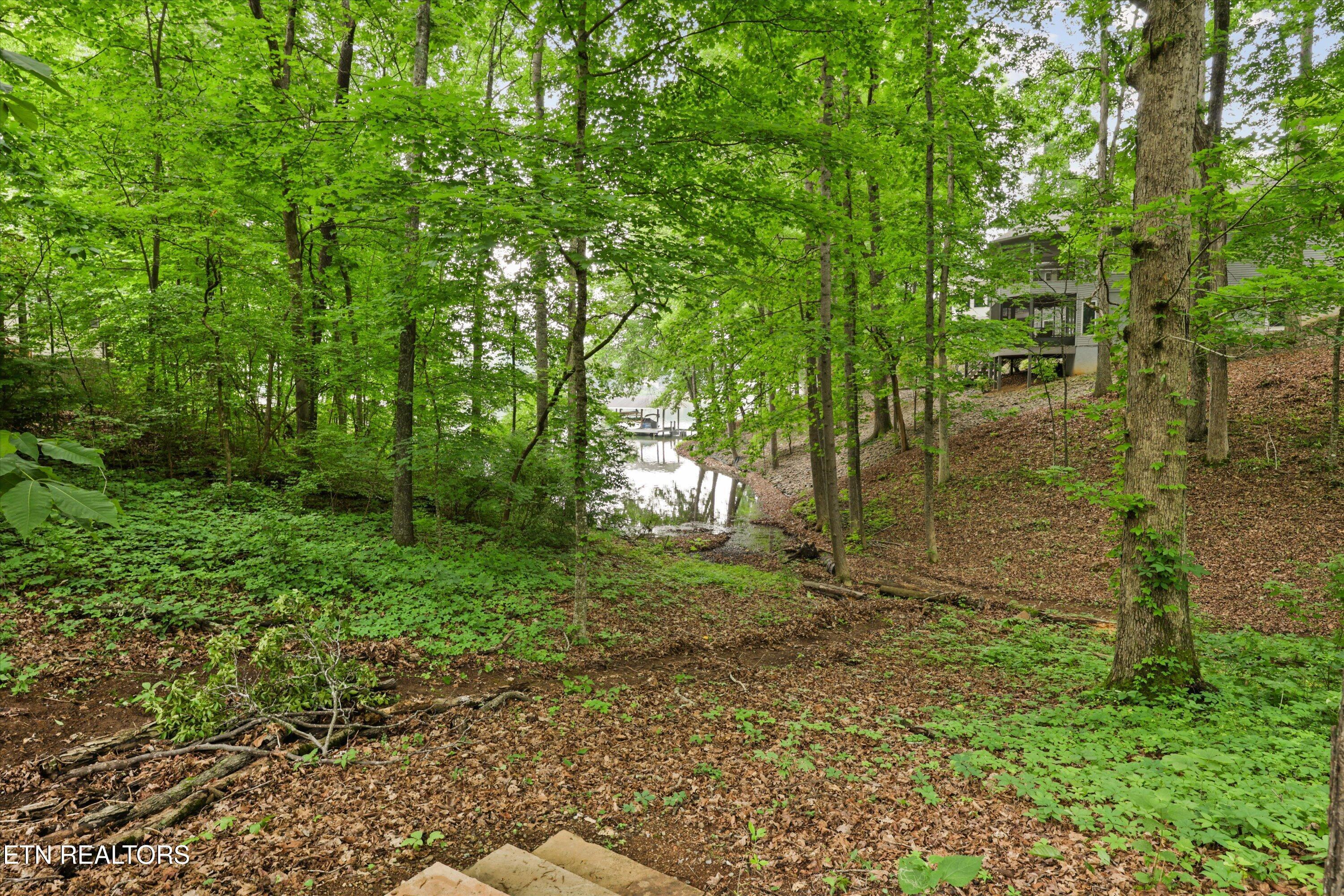 Fort Loudoun and Tellico Lake Real Estate - Image# 60