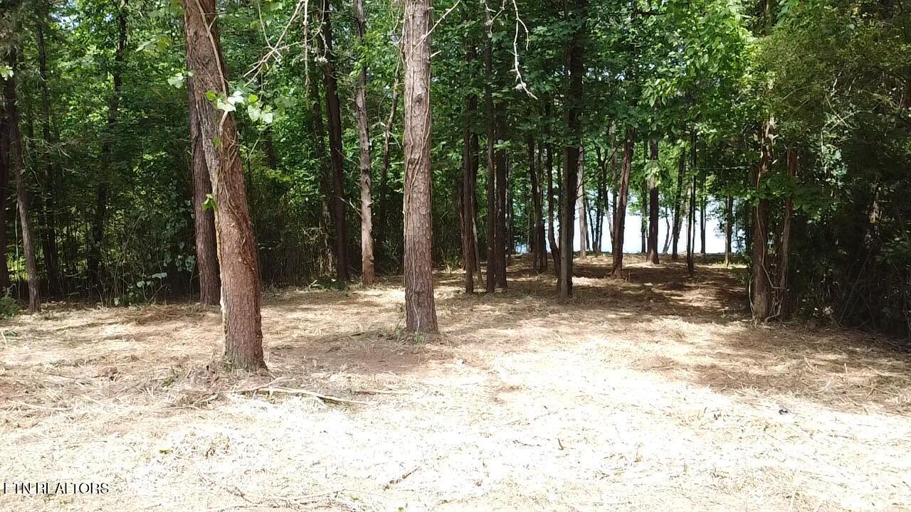 764 Wood Duck Drive, Vonore, TN - Fort Loudoun and Tellico Lake Real Estate - Image# 4