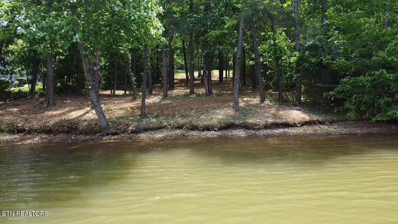 764 Wood Duck Drive, Vonore, TN