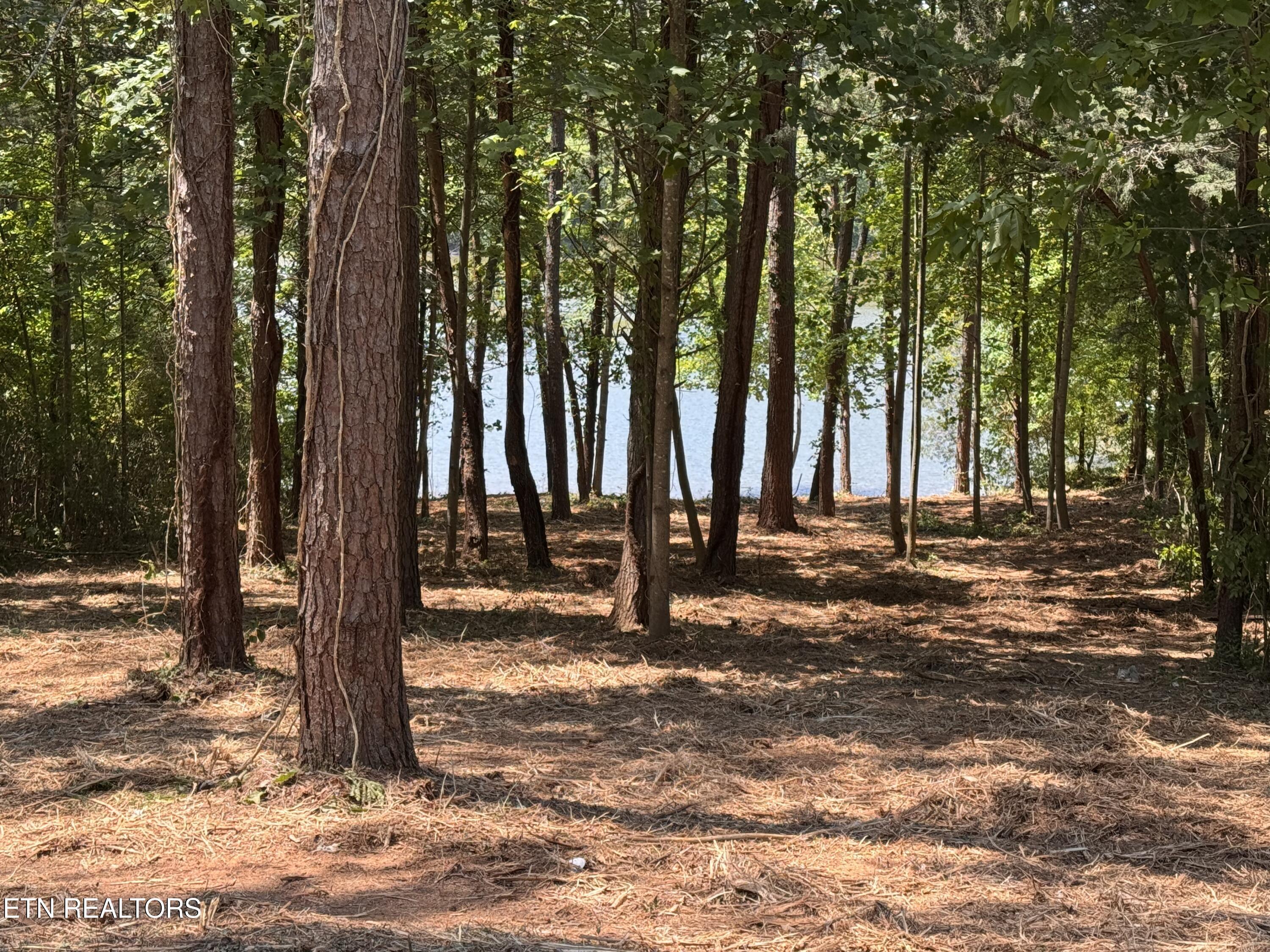 764 Wood Duck Drive, Vonore, TN - Fort Loudoun and Tellico Lake Real Estate - Image# 6