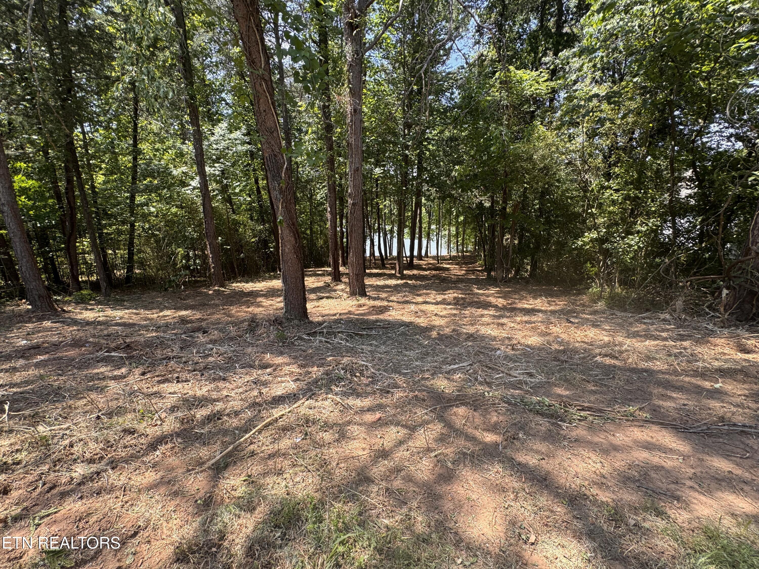 764 Wood Duck Drive, Vonore, TN - Fort Loudoun and Tellico Lake Real Estate - Image# 7