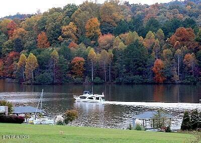 764 Wood Duck Drive, Vonore, TN - Fort Loudoun and Tellico Lake Real Estate - Image# 11