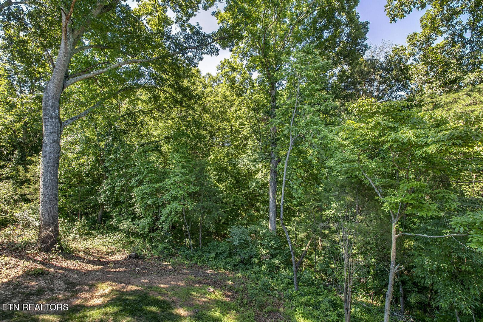 312 Elokwa Lane, Loudon, TN - Fort Loudoun and Tellico Lake Real Estate - Image# 19