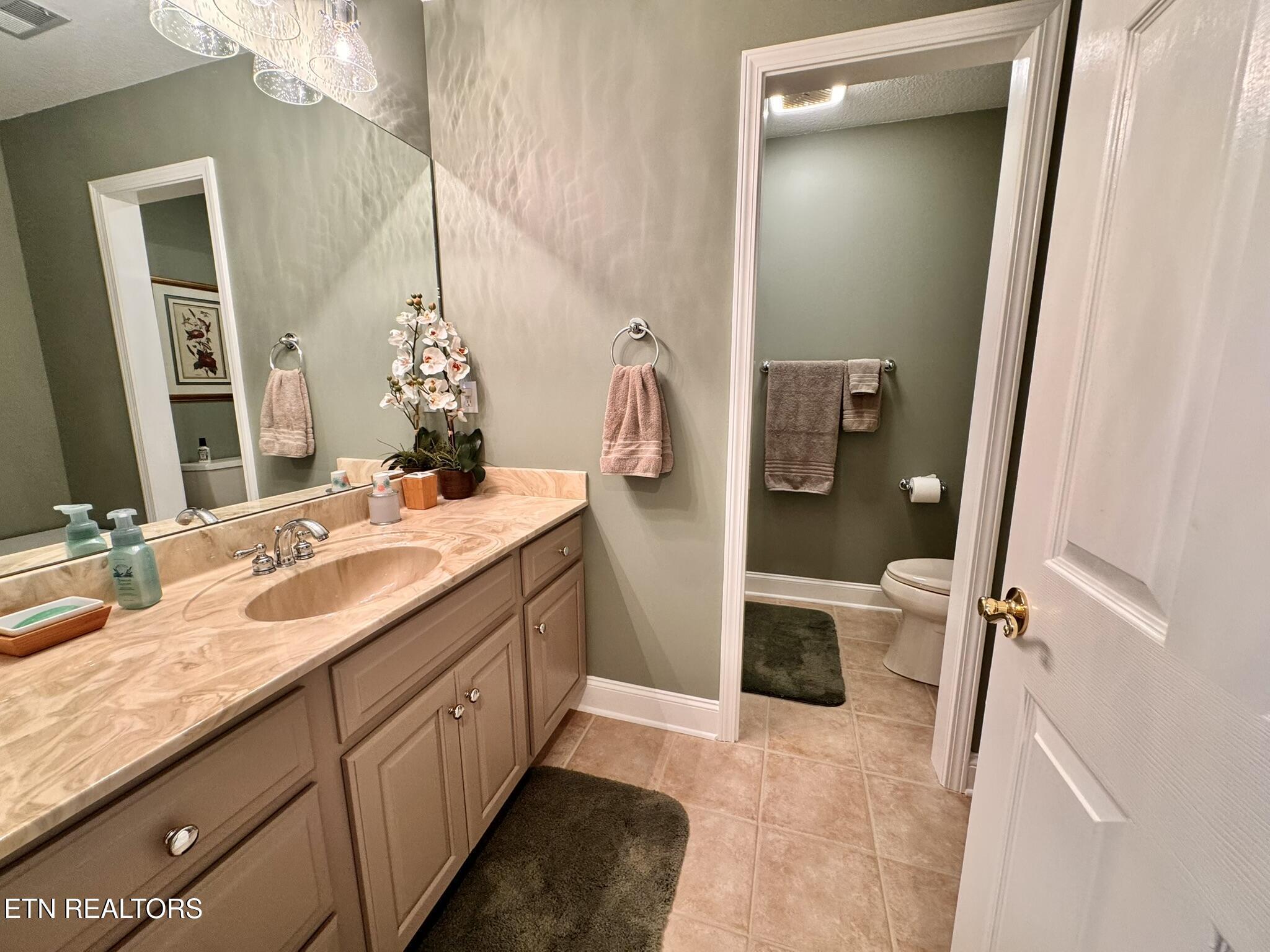 201 Iroquois Circle, Loudon, TN - Fort Loudoun and Tellico Lake Real Estate - Image# 42