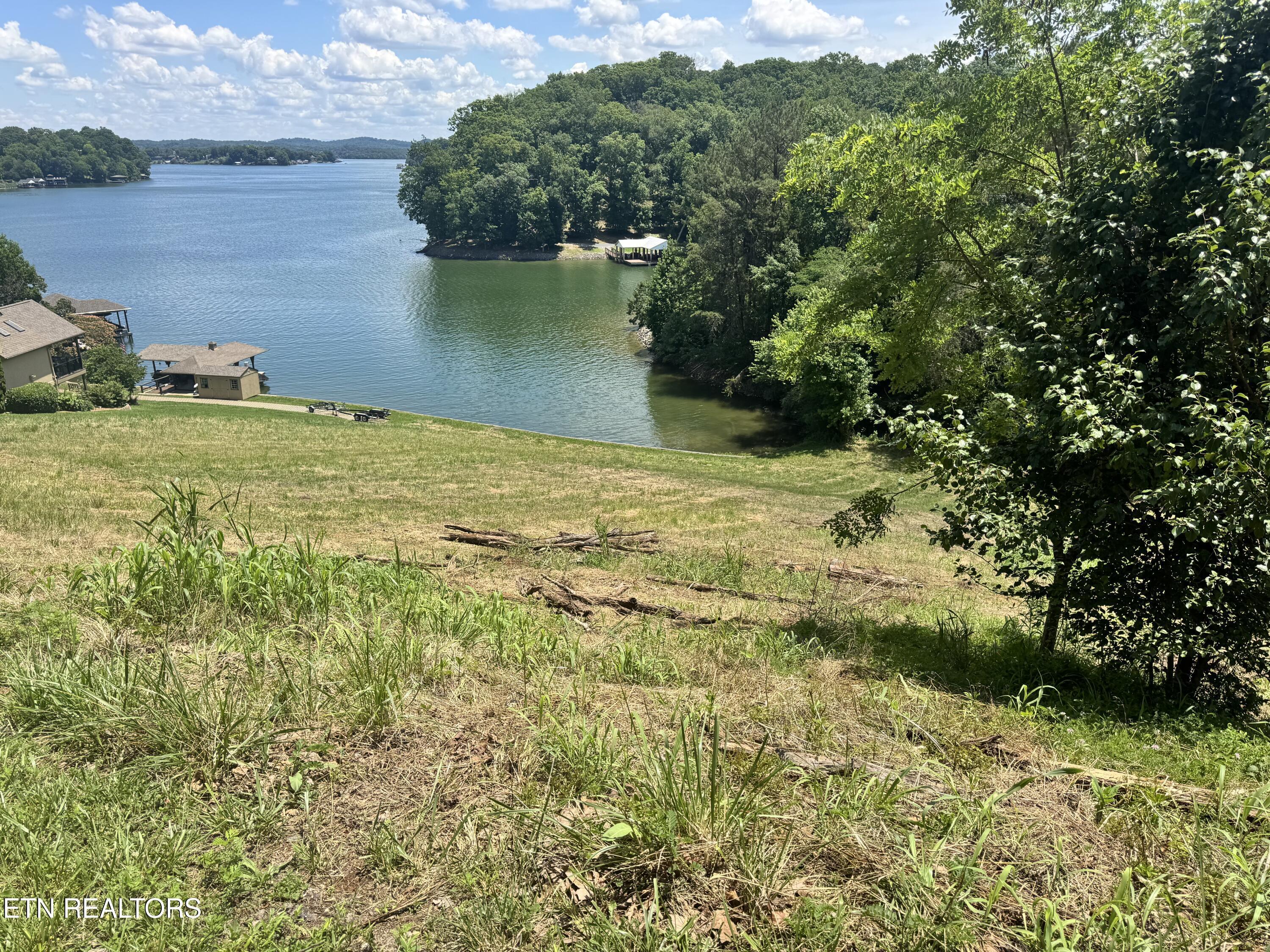 Parks Ferry Lane Lot #4 Rd, Friendsville, TN - Fort Loudoun and Tellico Lake Real Estate - Image# 3