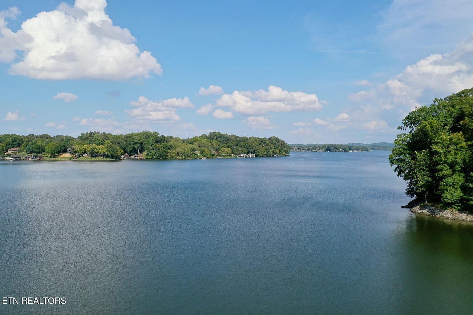 Parks Ferry Lane Lot #4 Rd, Friendsville, TN - Fort Loudoun and Tellico Lake Real Estate - Image# 4