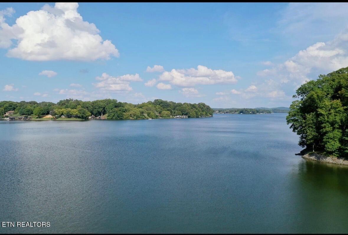 Parks Ferry Lane Lot #4 Rd, Friendsville, TN - Fort Loudoun and Tellico Lake Real Estate - Image# 6