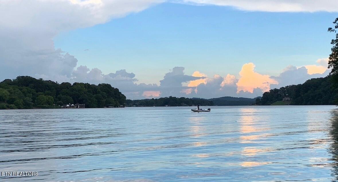 Parks Ferry Lane Lot #4 Rd, Friendsville, TN - Fort Loudoun and Tellico Lake Real Estate - Image# 8