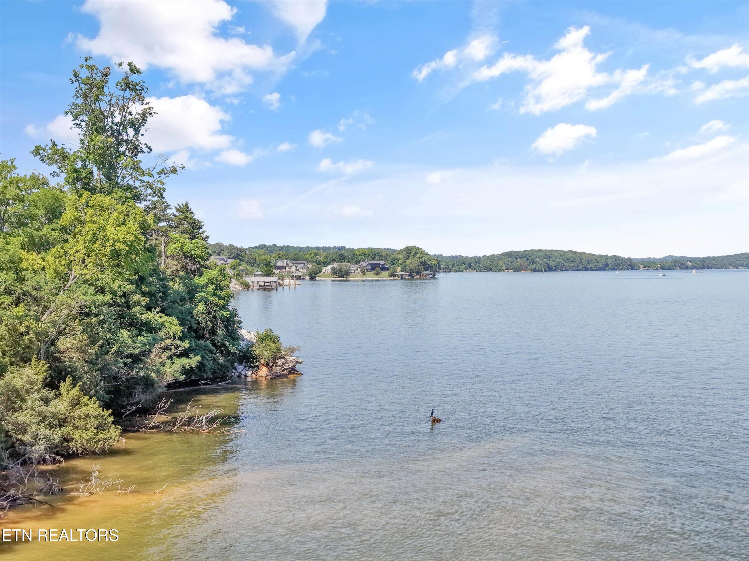 10640 Albion Way, Knoxville, TN - Fort Loudoun and Tellico Lake Real Estate - Image# 11