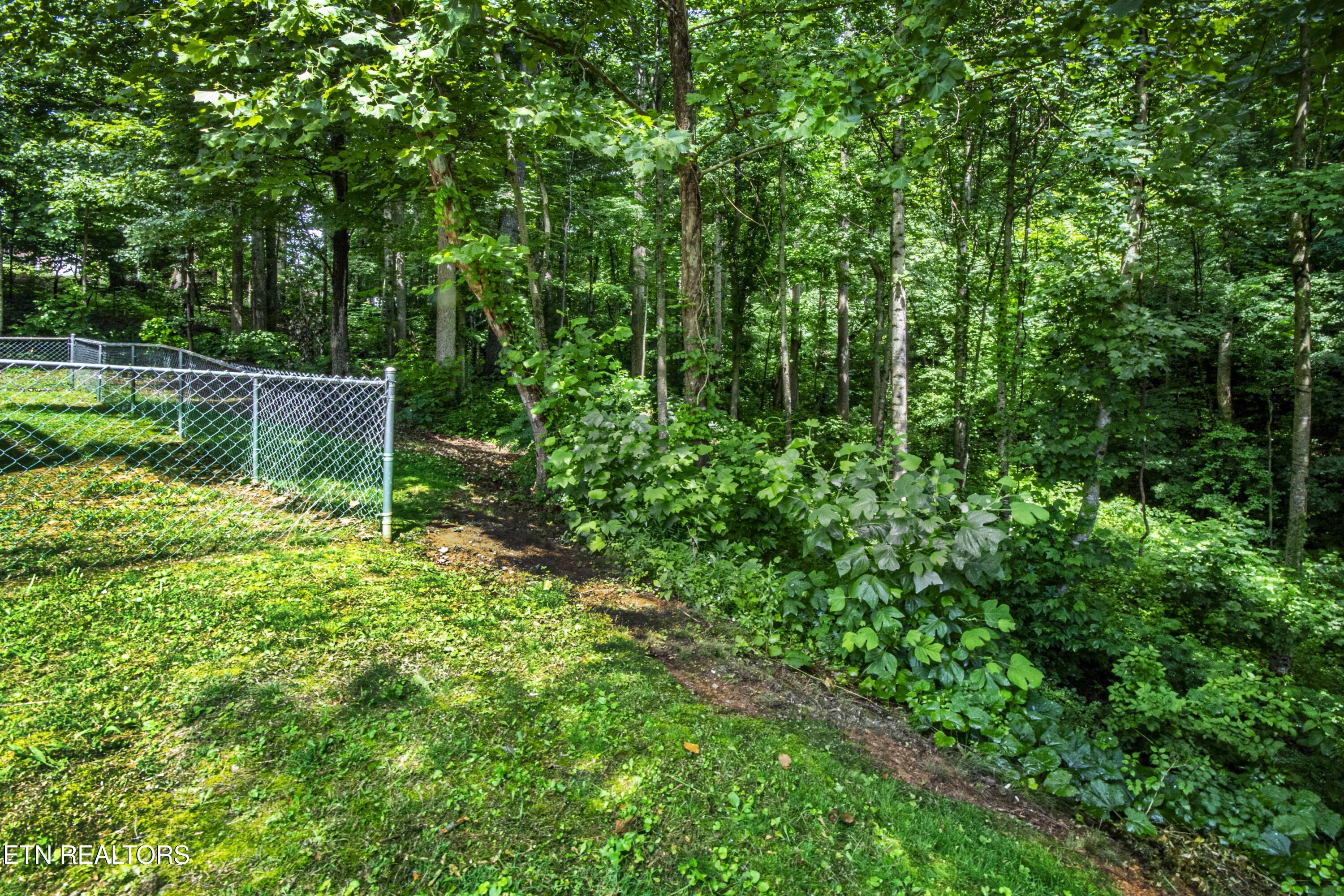 Fort Loudoun and Tellico Lake Real Estate - Image# 13