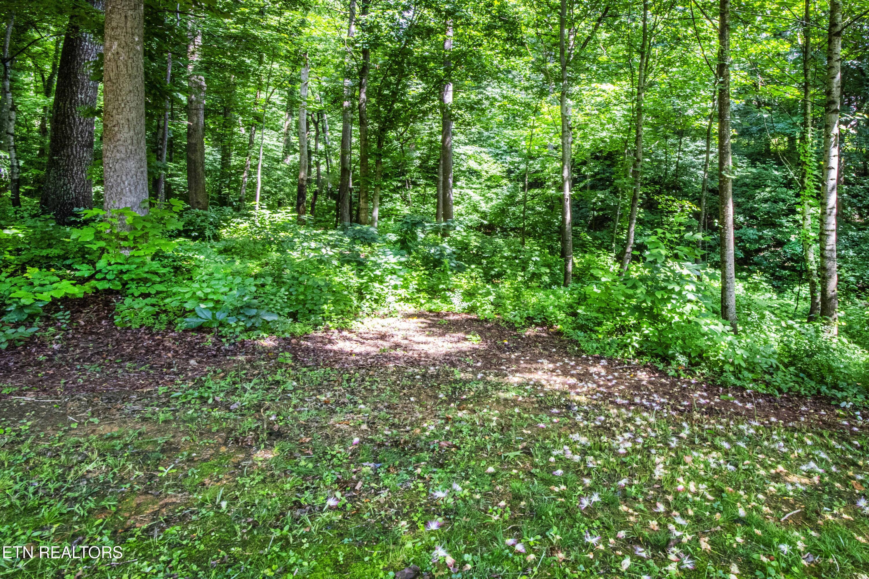 Fort Loudoun and Tellico Lake Real Estate - Image# 14