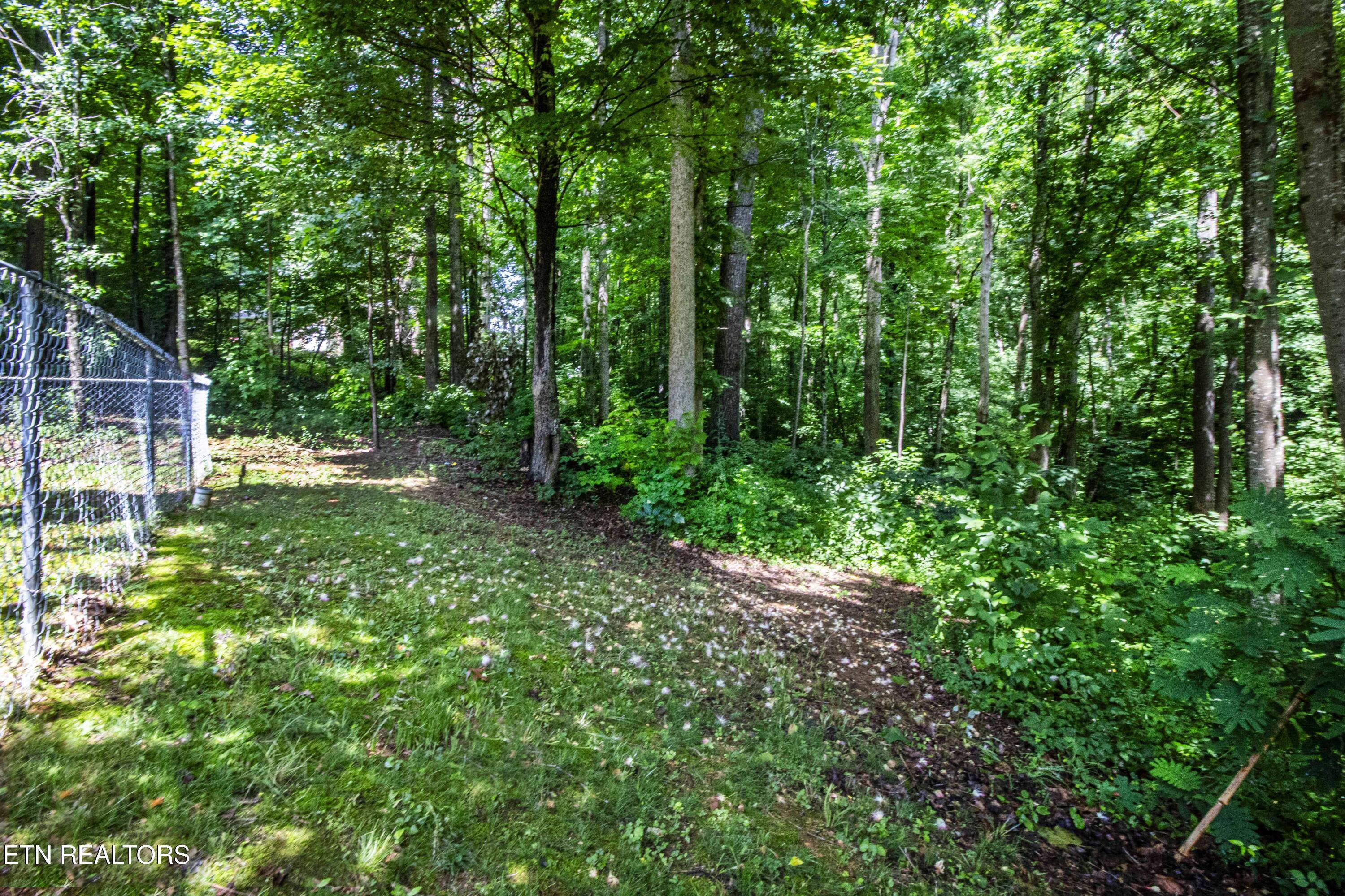 Fort Loudoun and Tellico Lake Real Estate - Image# 15
