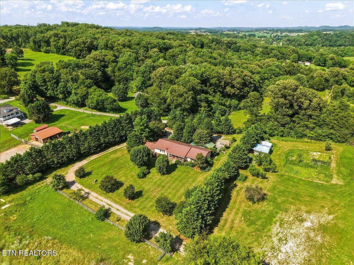 Fort Loudoun and Tellico Lake Real Estate - Image# 6