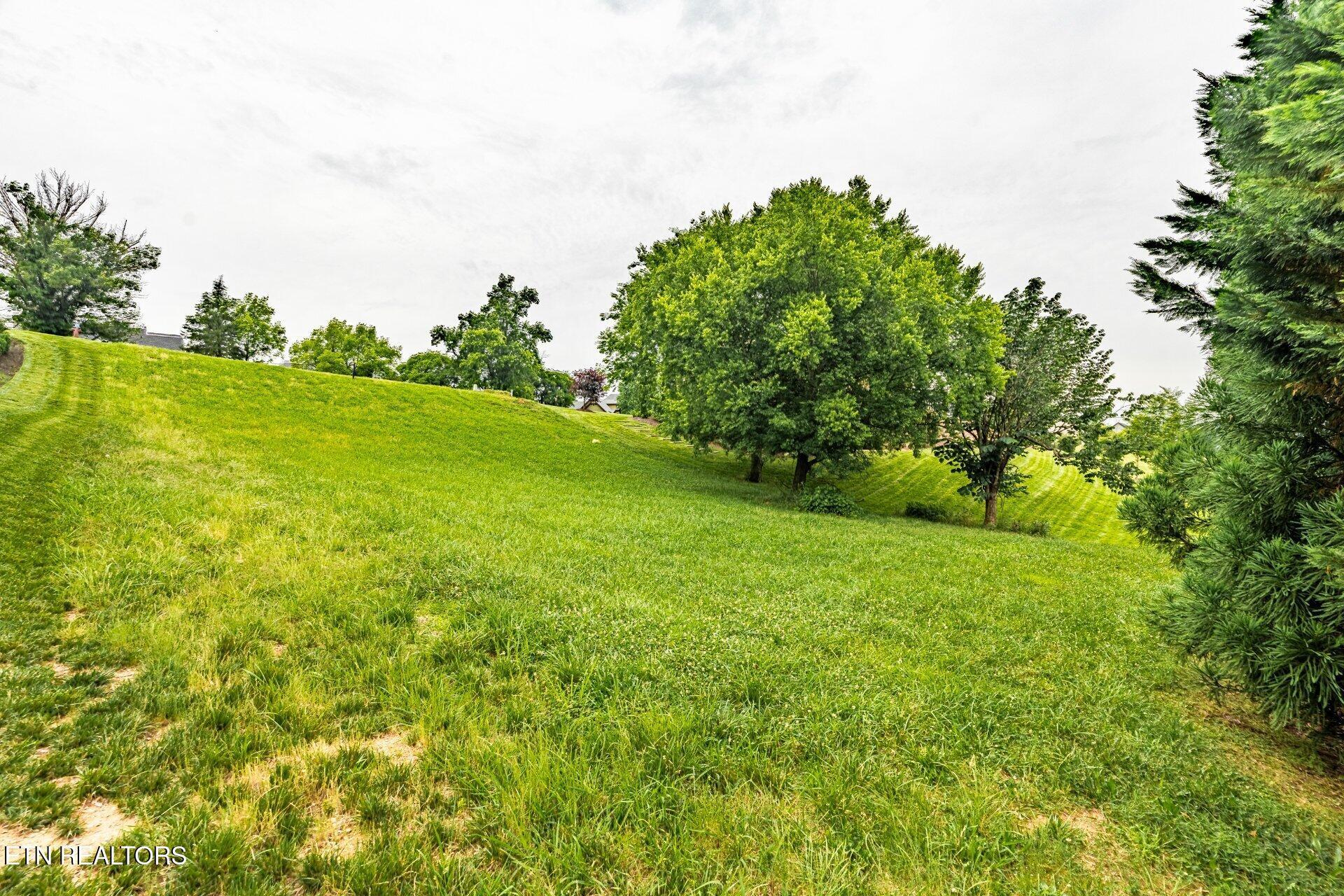 1587 Eagle Point Drive, Loudon, TN - Fort Loudoun and Tellico Lake Real Estate - Image# 30