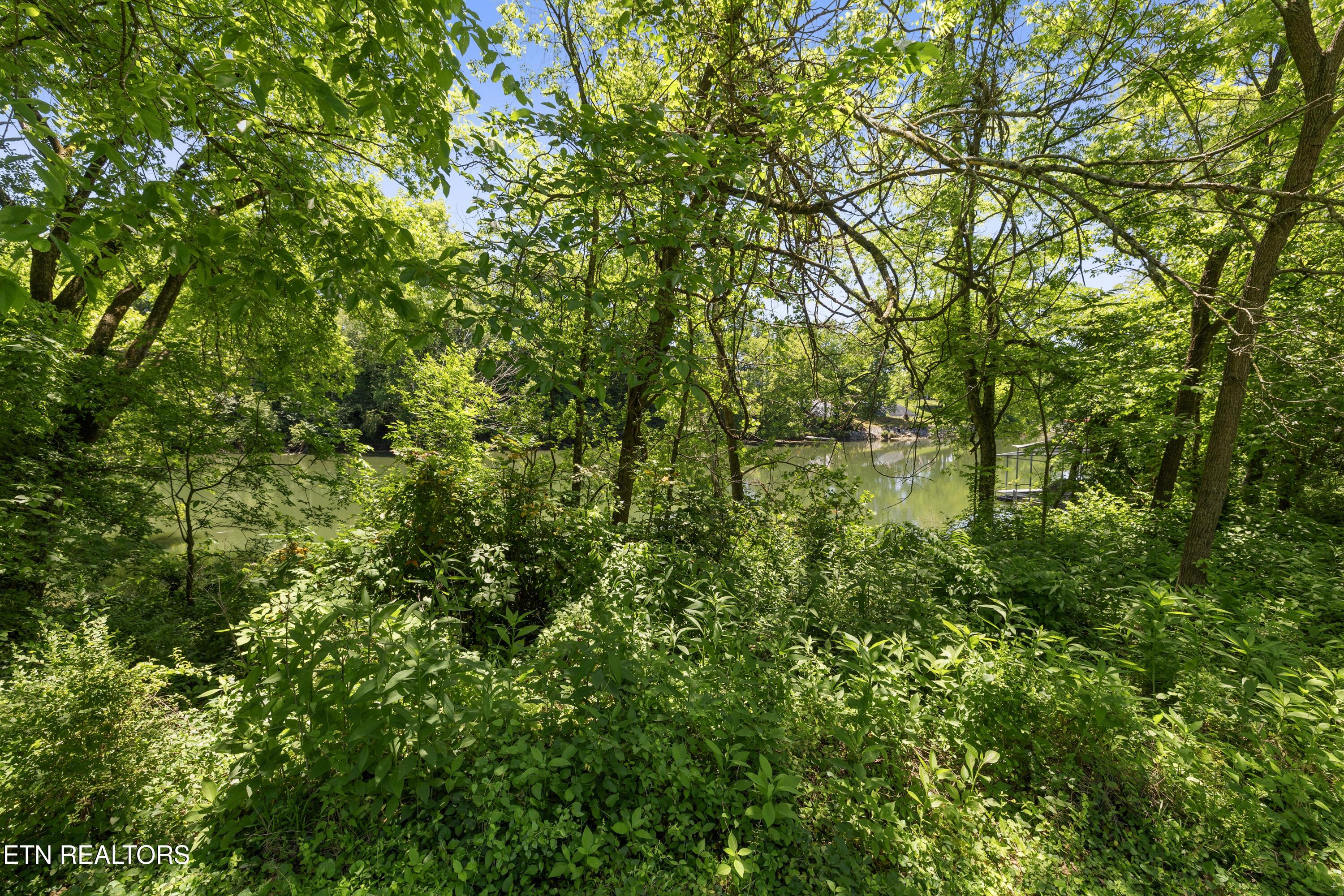 5800 Holston Hills Rd, Knoxville, TN - Fort Loudoun and Tellico Lake Real Estate - Image# 8