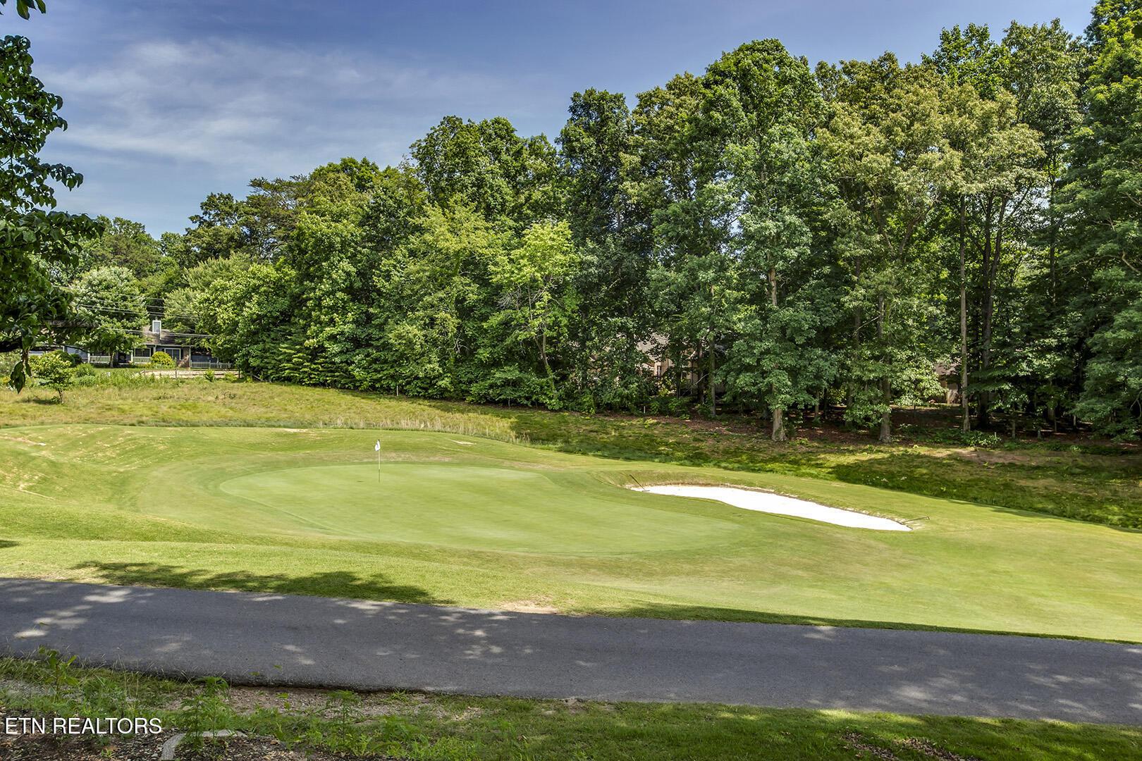 Fort Loudoun and Tellico Lake Real Estate - Image# 54