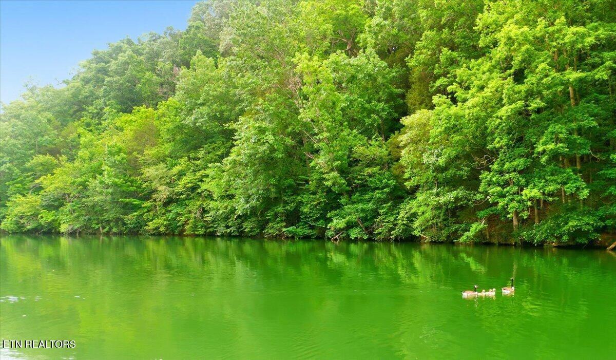 Fort Loudoun and Tellico Lake Real Estate - Image# 25