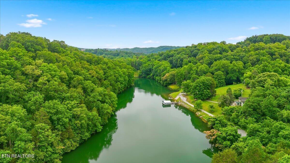 Fort Loudoun and Tellico Lake Real Estate - Image# 29