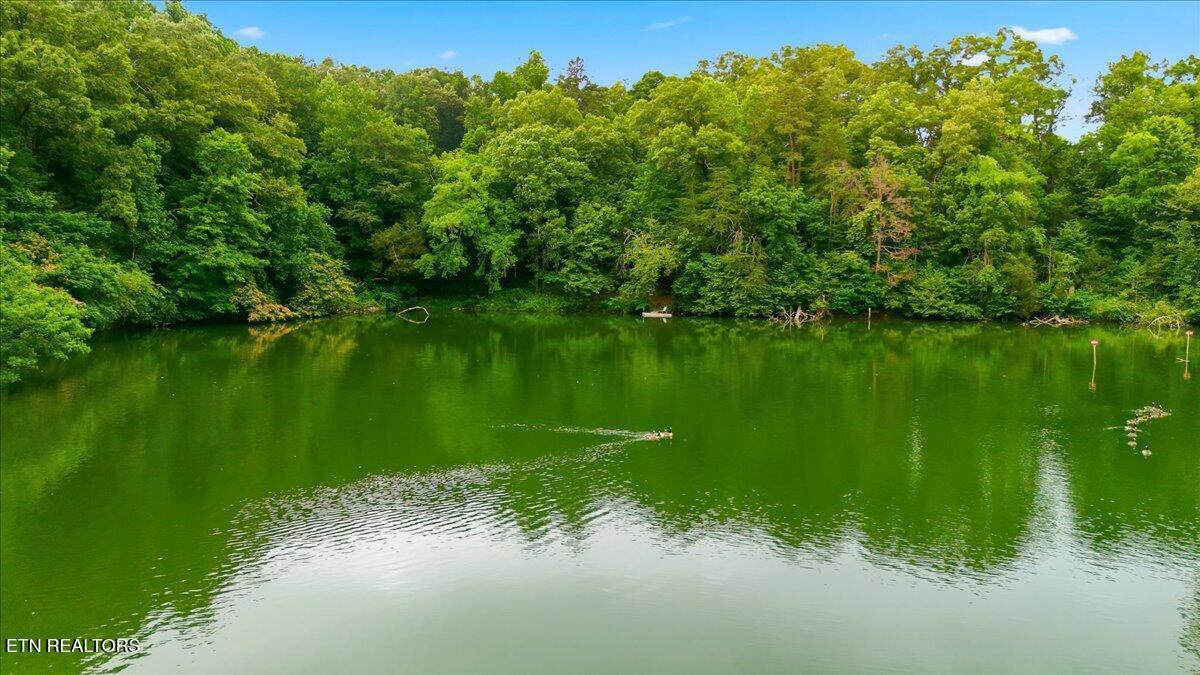 Fort Loudoun and Tellico Lake Real Estate - Image# 32