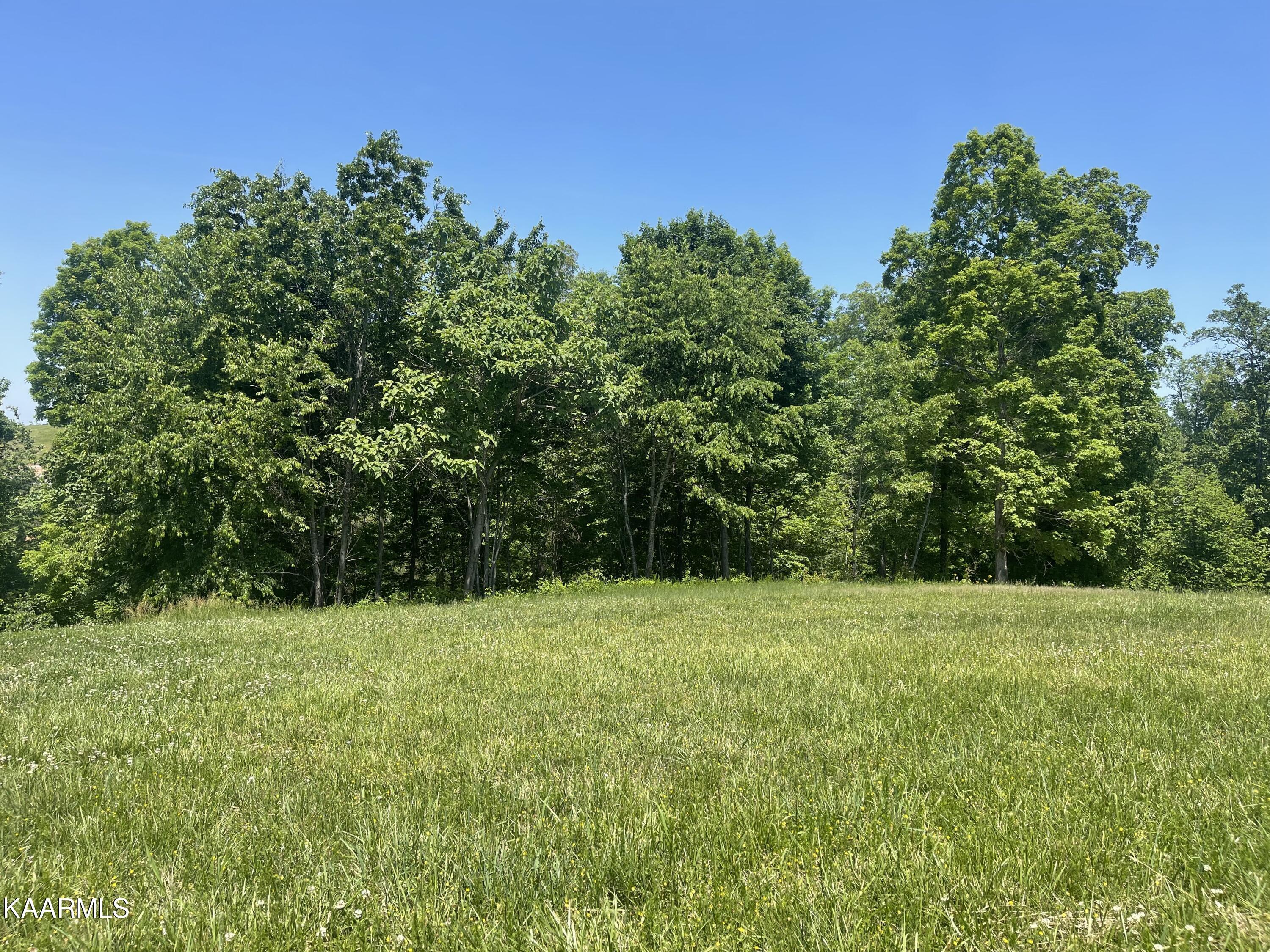 846 Taffrail Drive, Lenoir City, TN - Fort Loudoun and Tellico Lake Real Estate - Image# 11