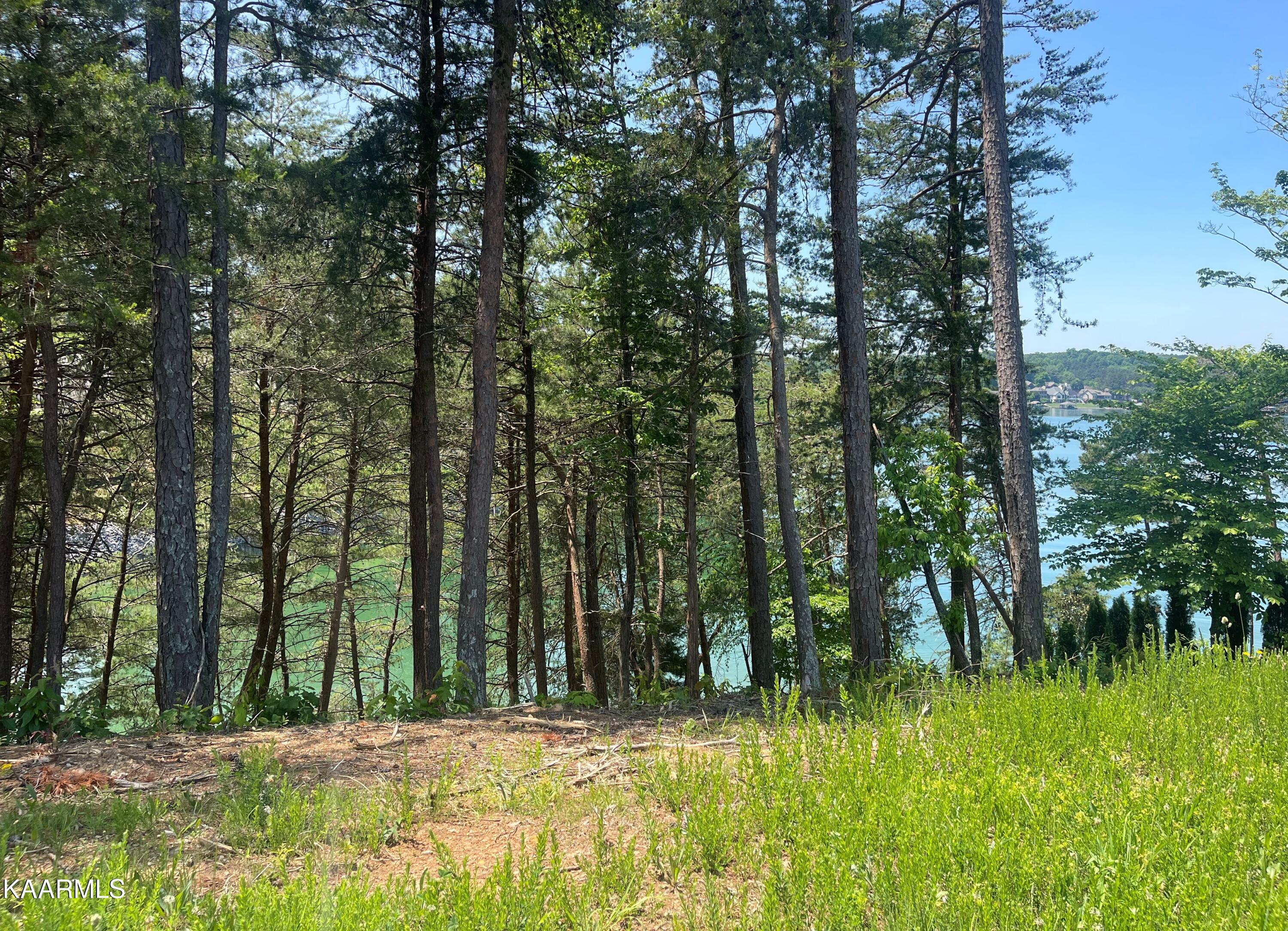 377 Beacon Court, Lenoir City, TN - Fort Loudoun and Tellico Lake Real Estate - Image# 15