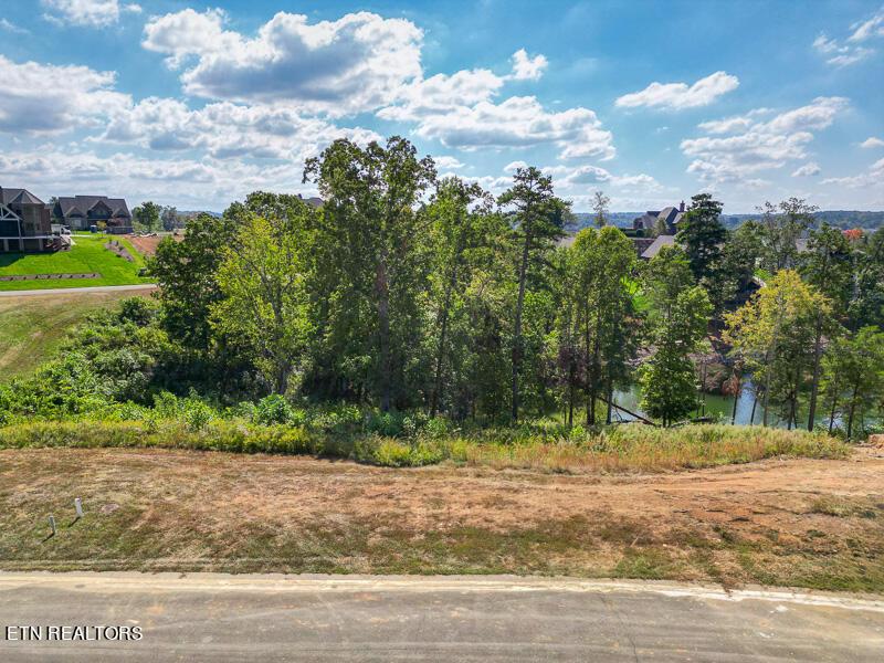 377 Beacon Court, Lenoir City, TN - Fort Loudoun and Tellico Lake Real Estate - Image# 14