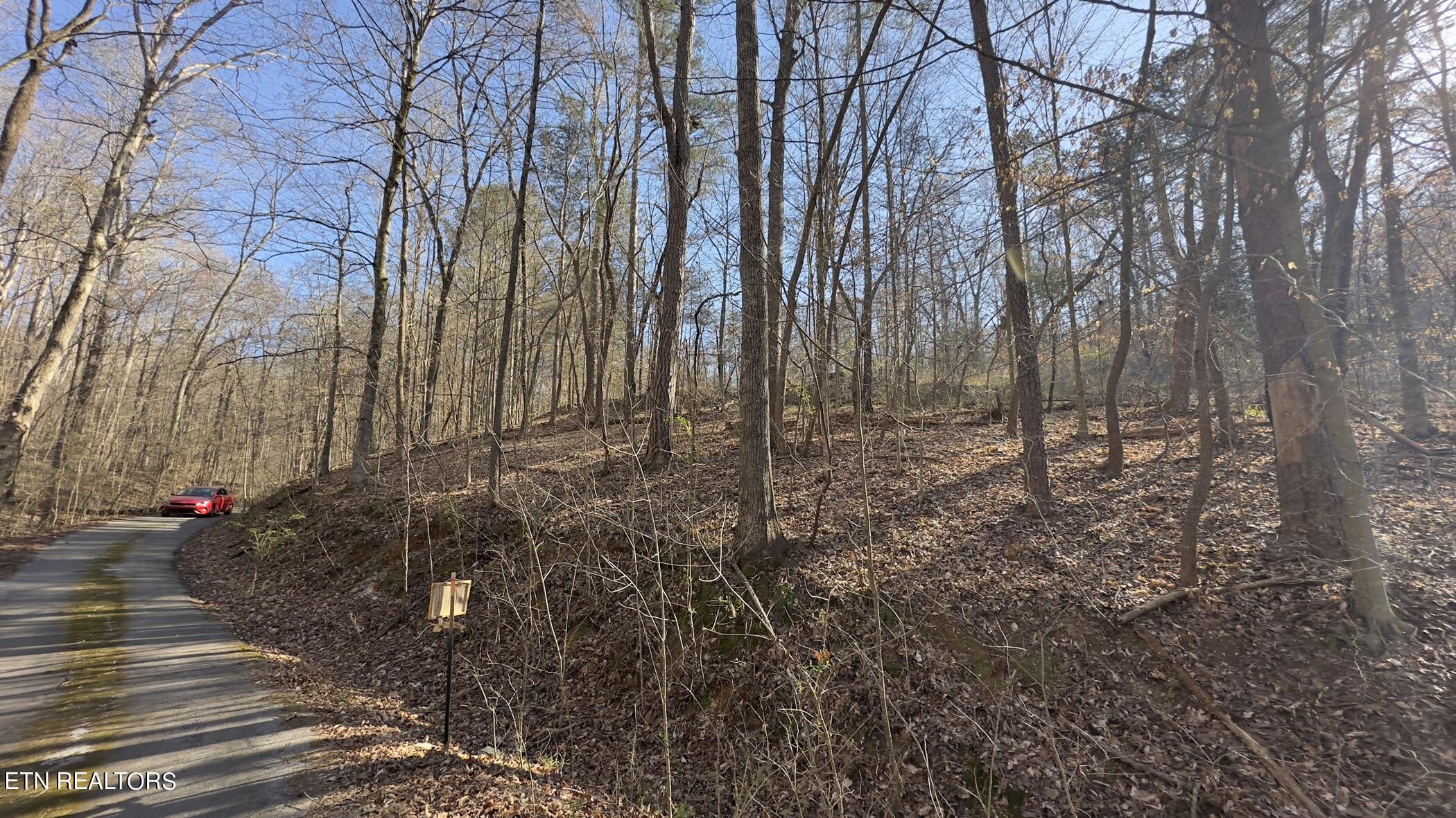 Rocky Top Rd, Lenoir City, TN - Fort Loudoun and Tellico Lake Real Estate - Image# 30