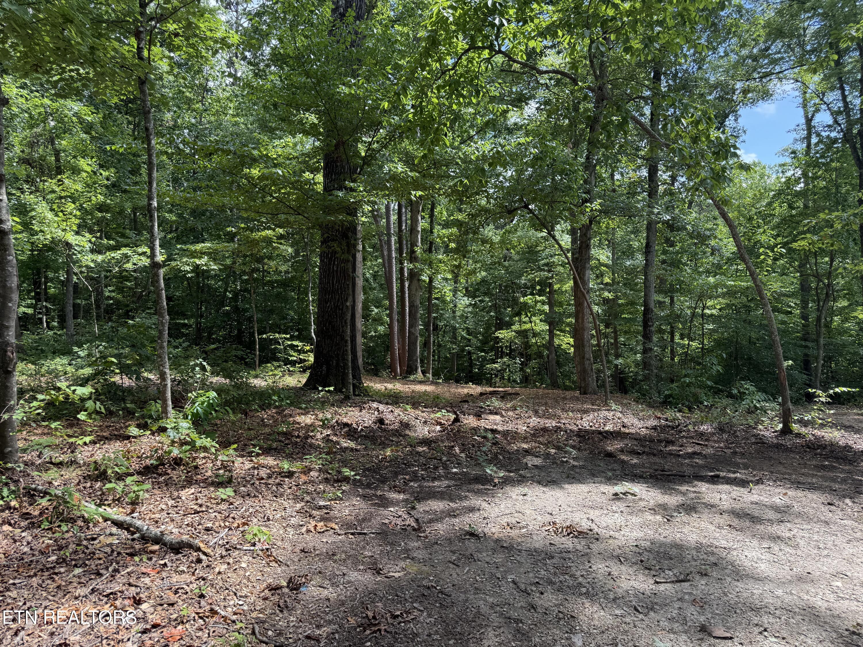 Rocky Top Rd, Lenoir City, TN - Fort Loudoun and Tellico Lake Real Estate - Image# 21