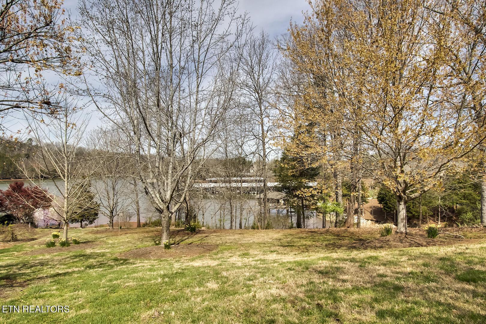 191 White Swan Drive, Vonore, TN