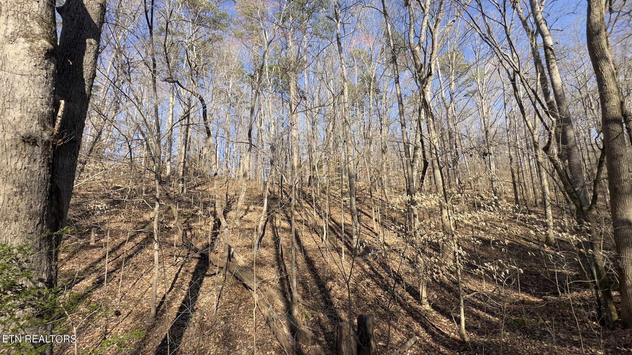 Fort Loudoun and Tellico Lake Real Estate - Image# 29