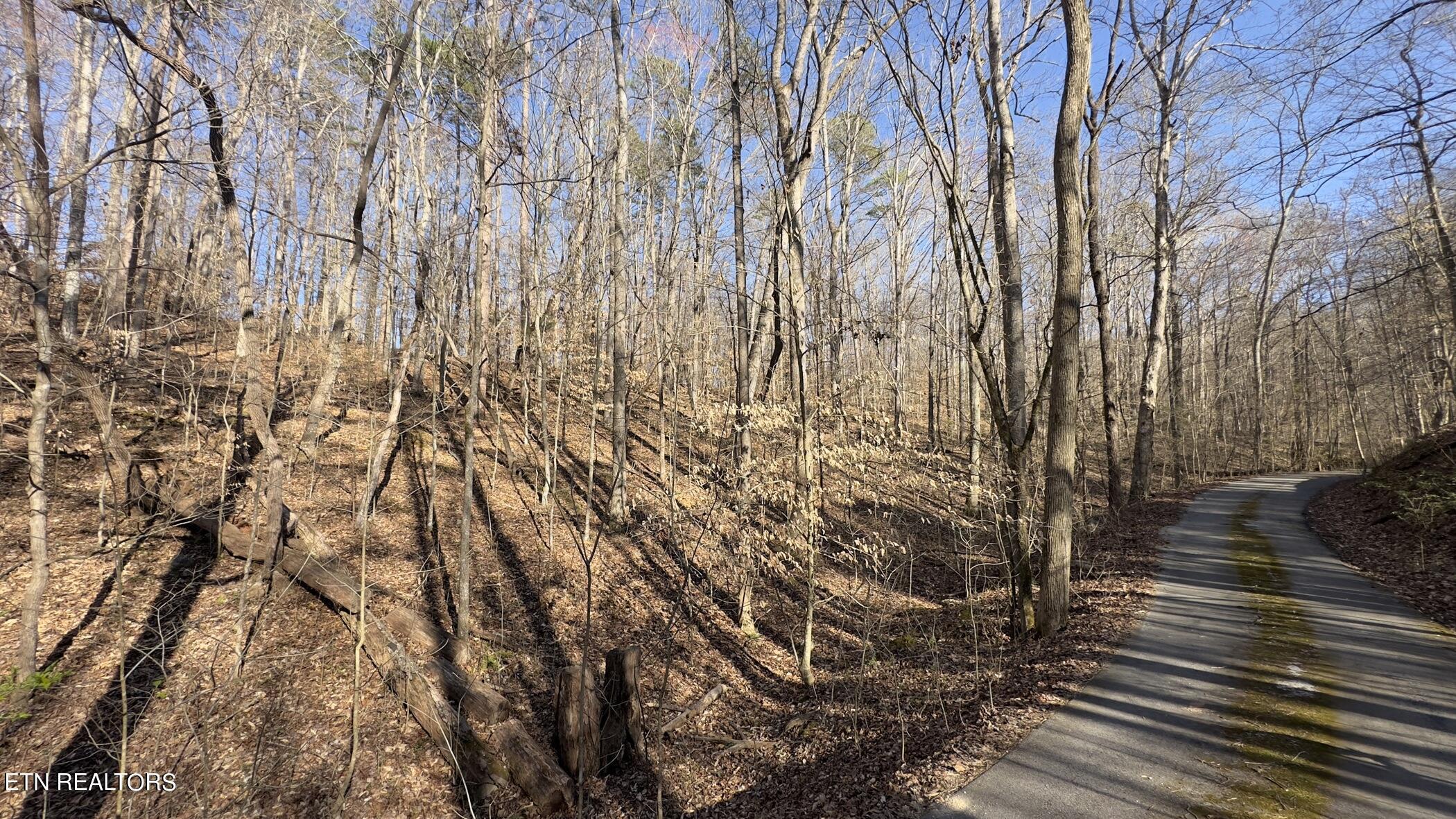 Fort Loudoun and Tellico Lake Real Estate - Image# 31