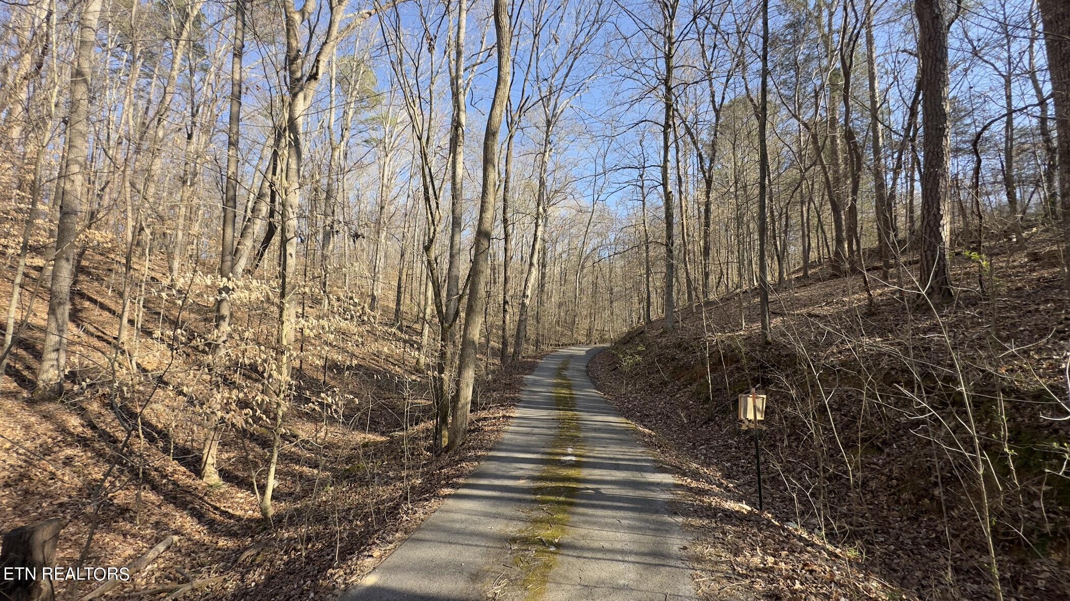 Fort Loudoun and Tellico Lake Real Estate - Image# 32