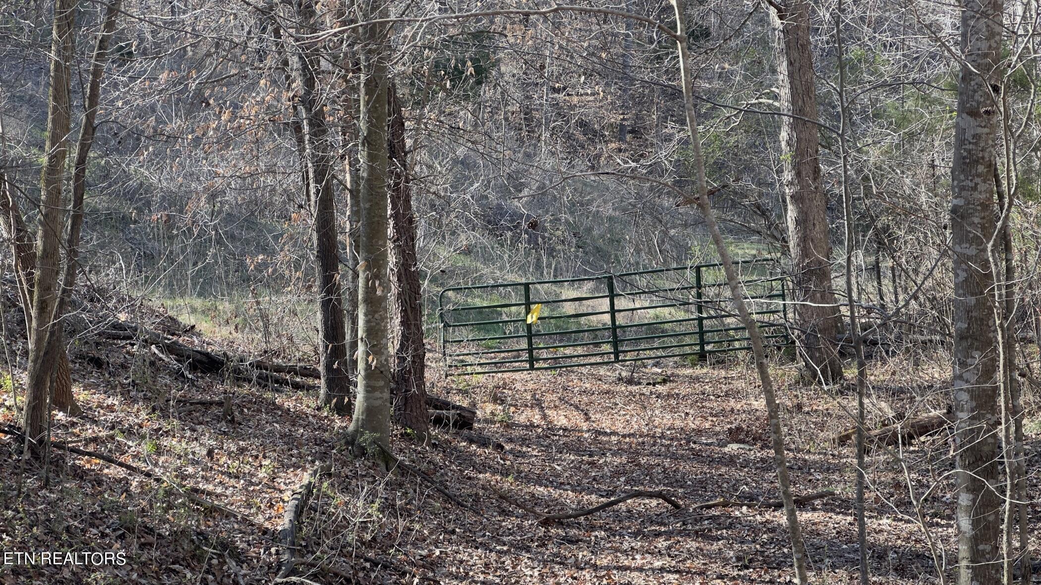 Fort Loudoun and Tellico Lake Real Estate - Image# 33