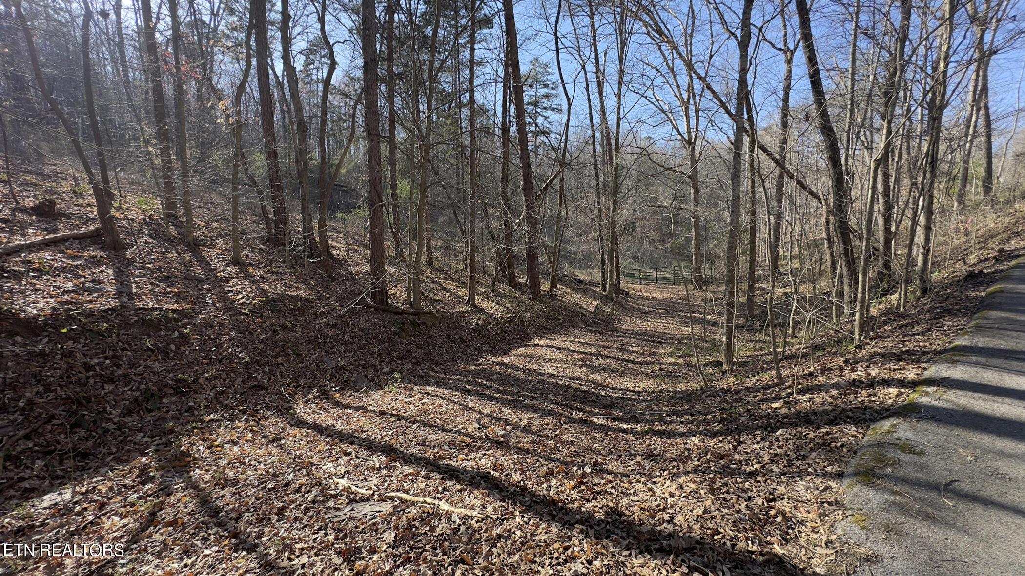 Fort Loudoun and Tellico Lake Real Estate - Image# 34
