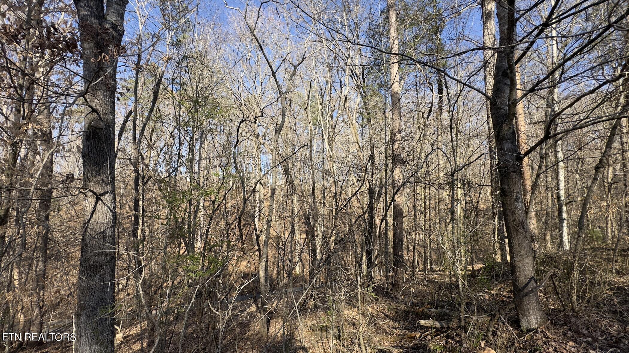 Fort Loudoun and Tellico Lake Real Estate - Image# 36