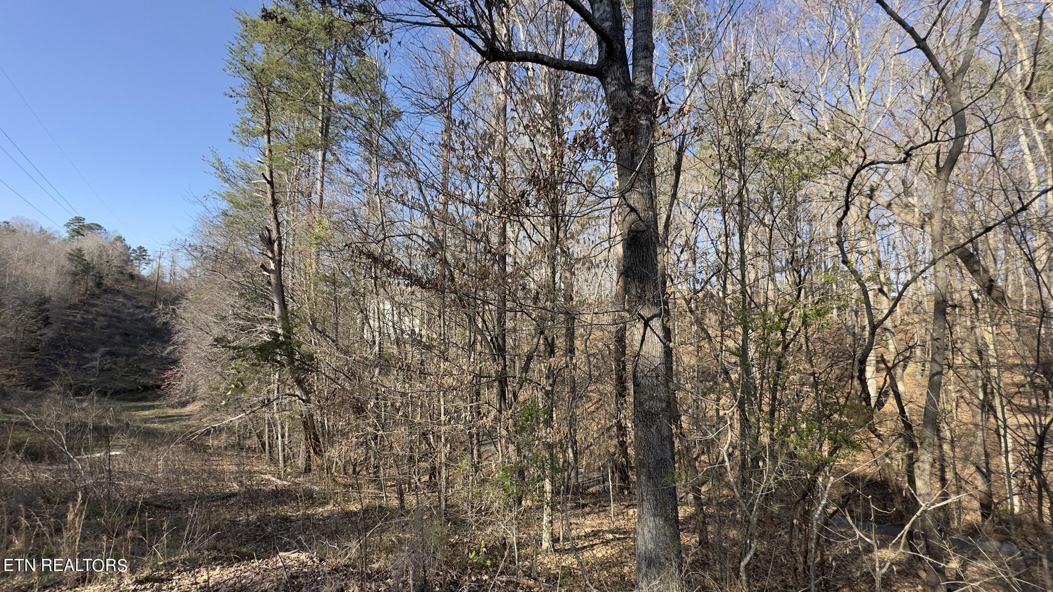 Fort Loudoun and Tellico Lake Real Estate - Image# 37